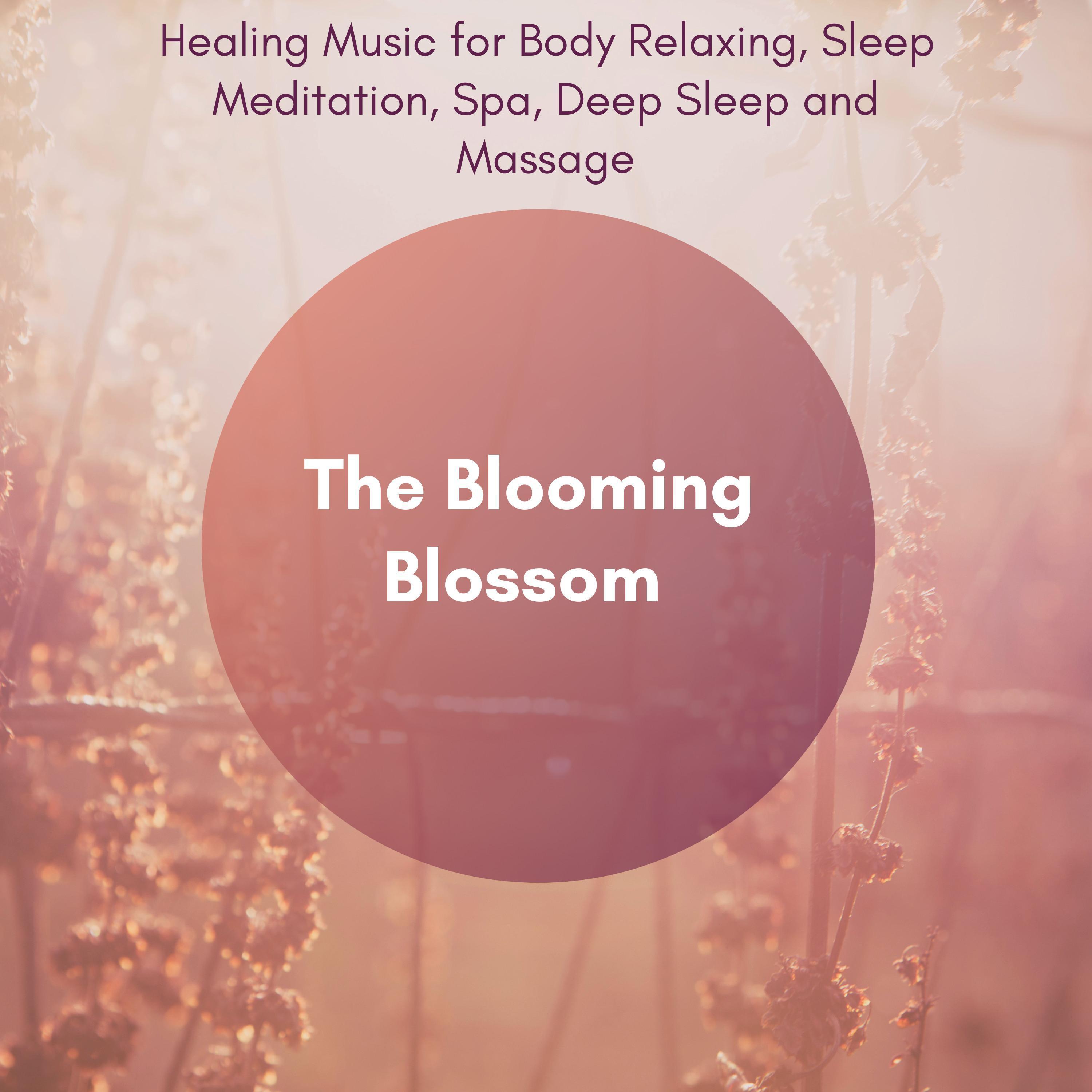 The Blooming Blossom (Healing Music For Body Relaxing, Sleep Meditation, Spa, Deep Sleep And Massage)