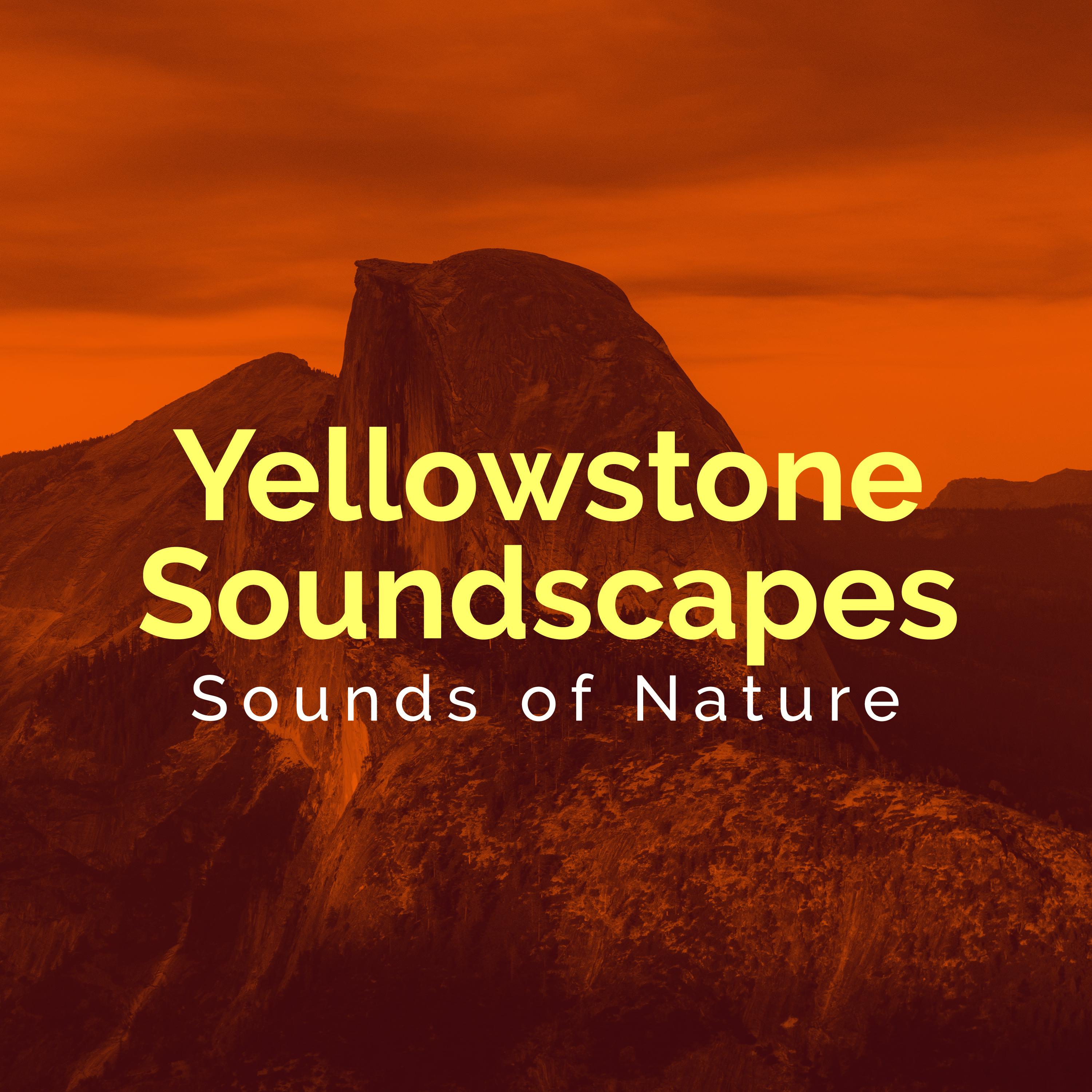 Yellowstone Soundscapes