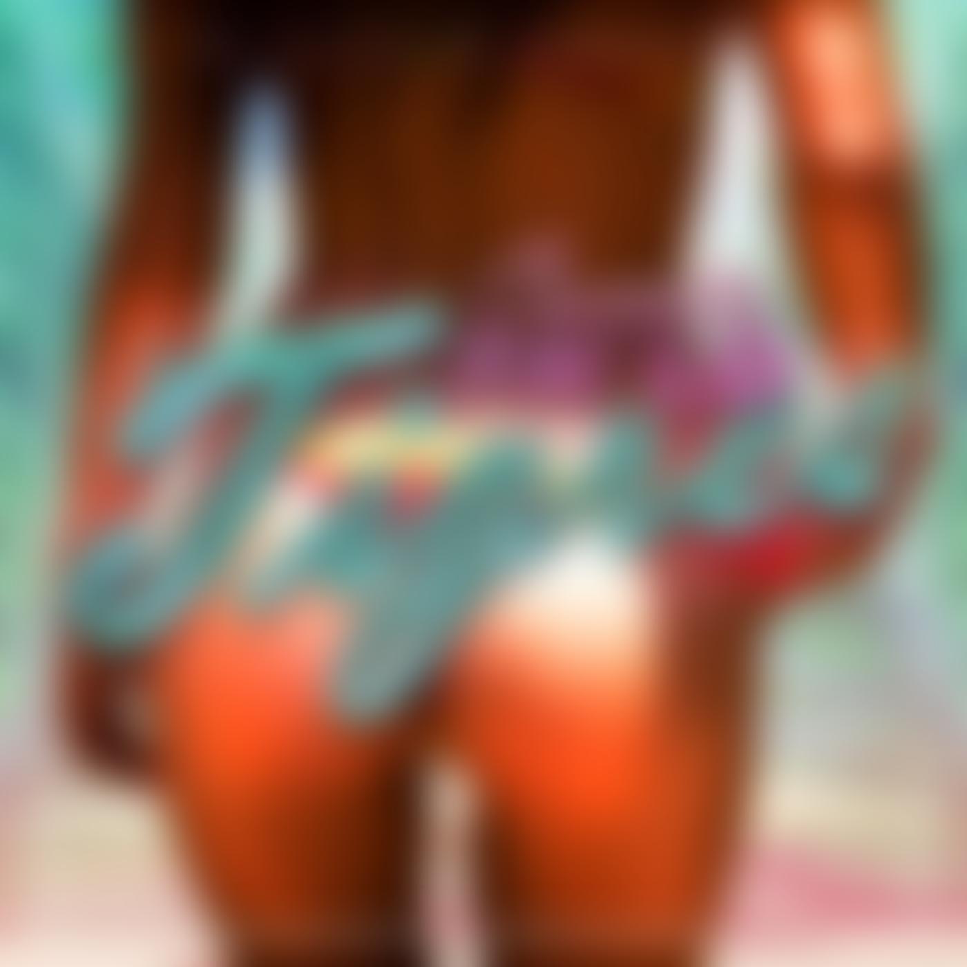 Carnita Pa Lo Tigres