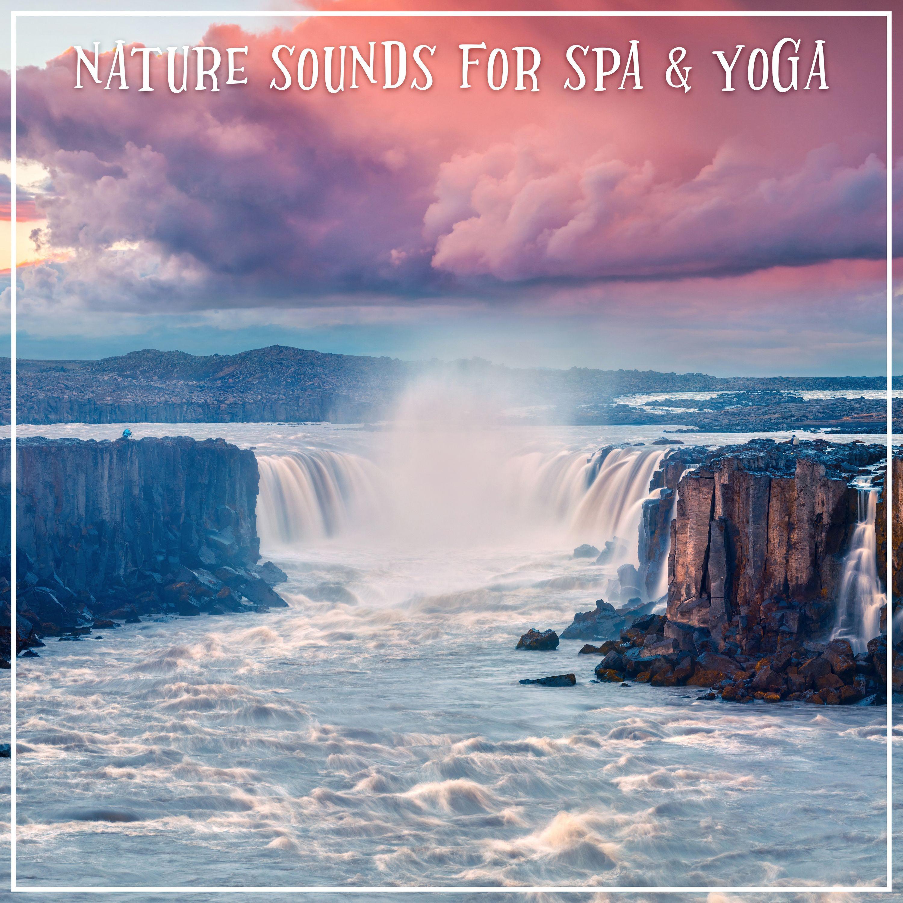 Nature Sounds for Spa & Yoga