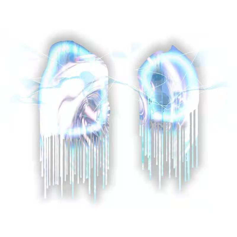 2021 qing xu zhong zhi