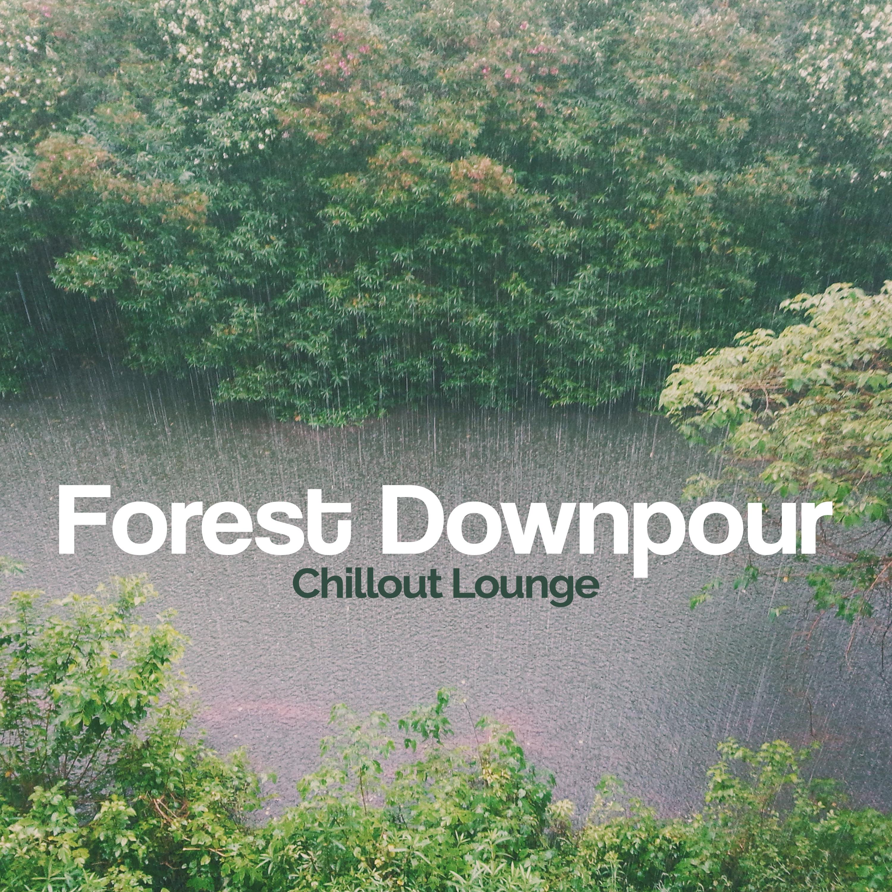 Forest Downpour