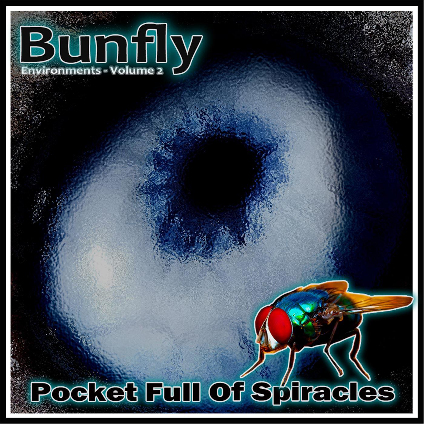 Environments, Vol.2: Pocket Full of Spiracles