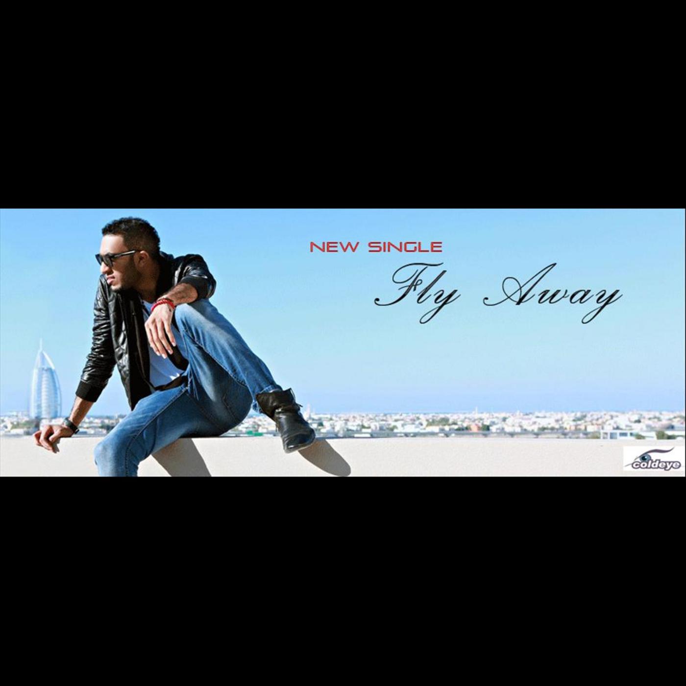 Fly Away (feat. Chana)