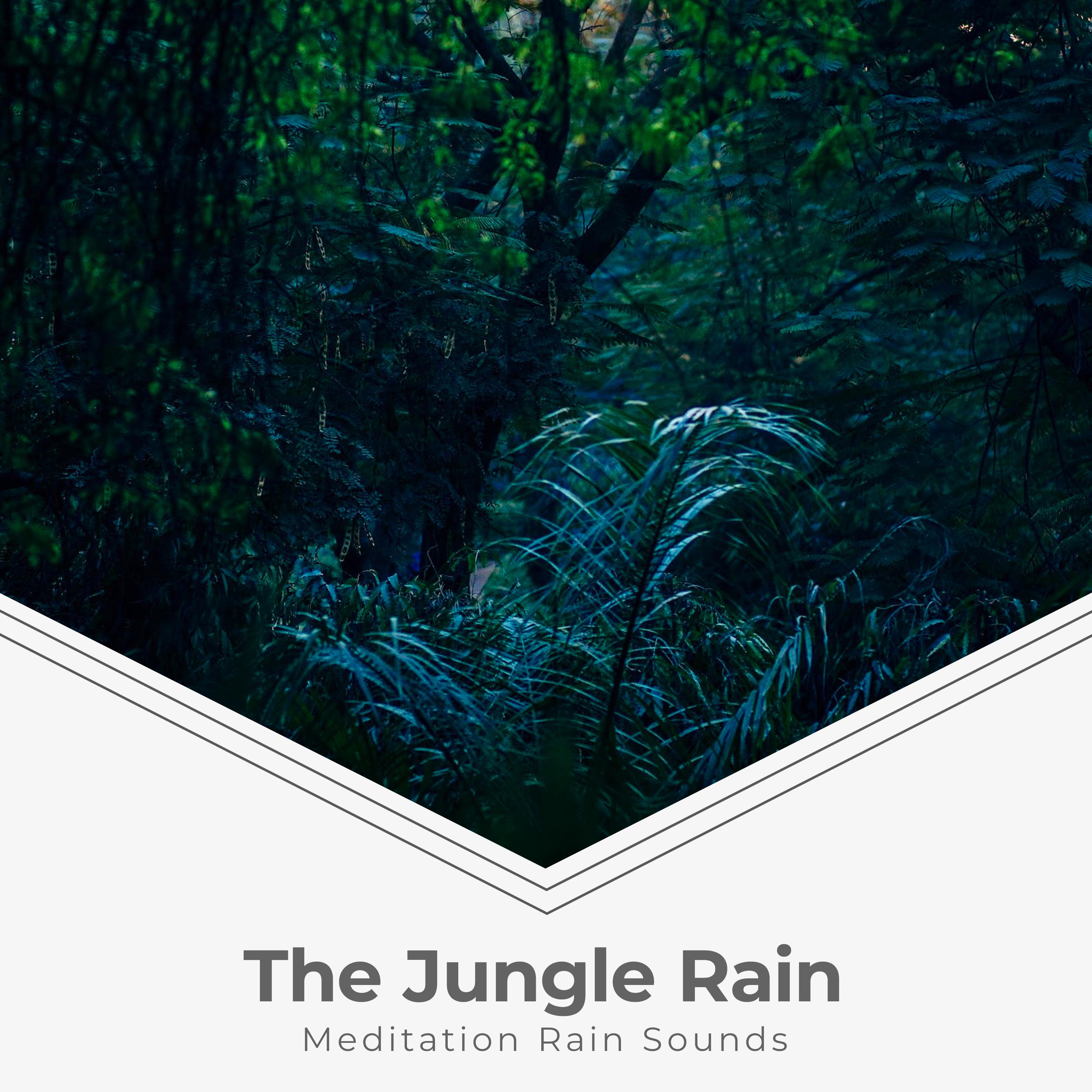 The Jungle Rain