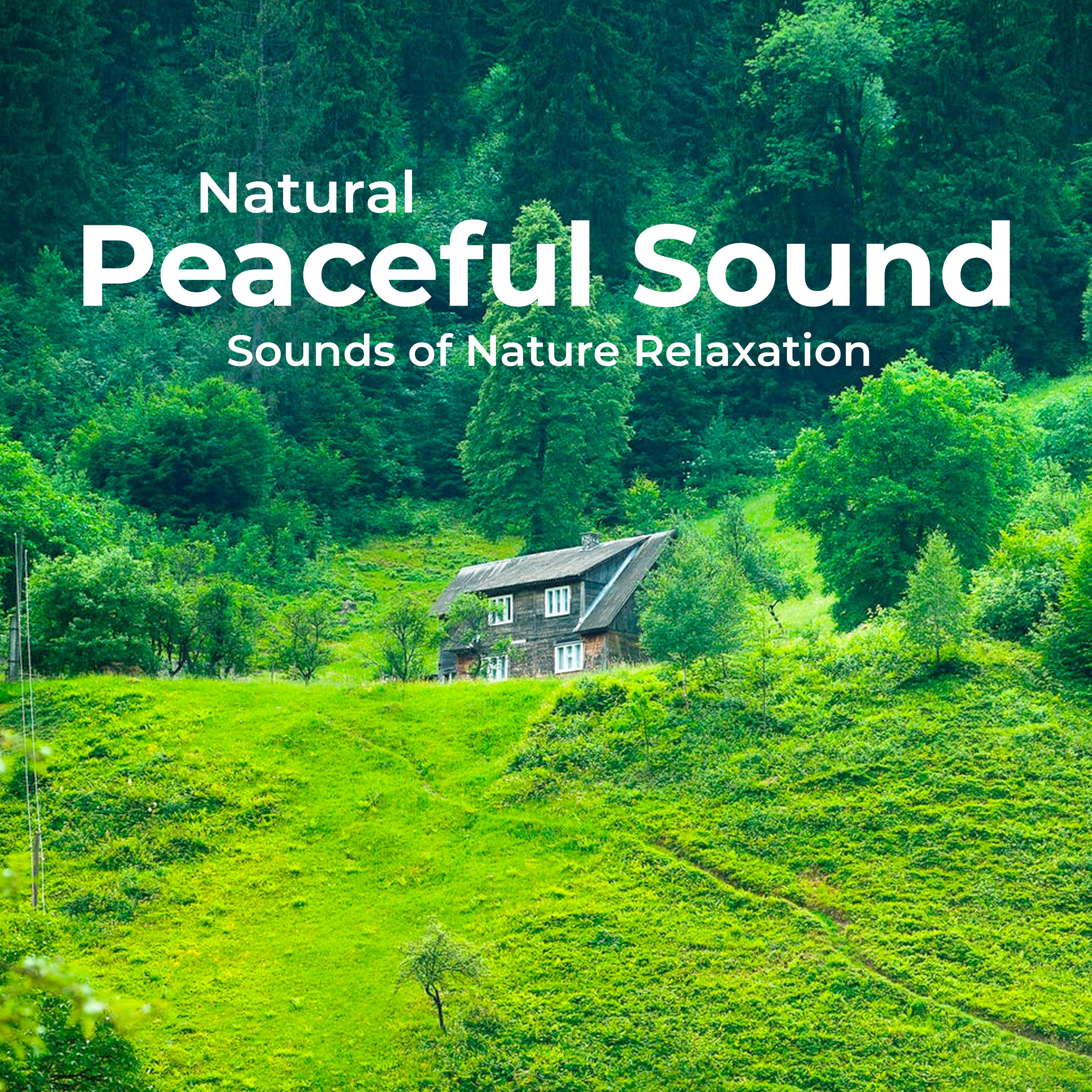 Natural Peaceful Sound