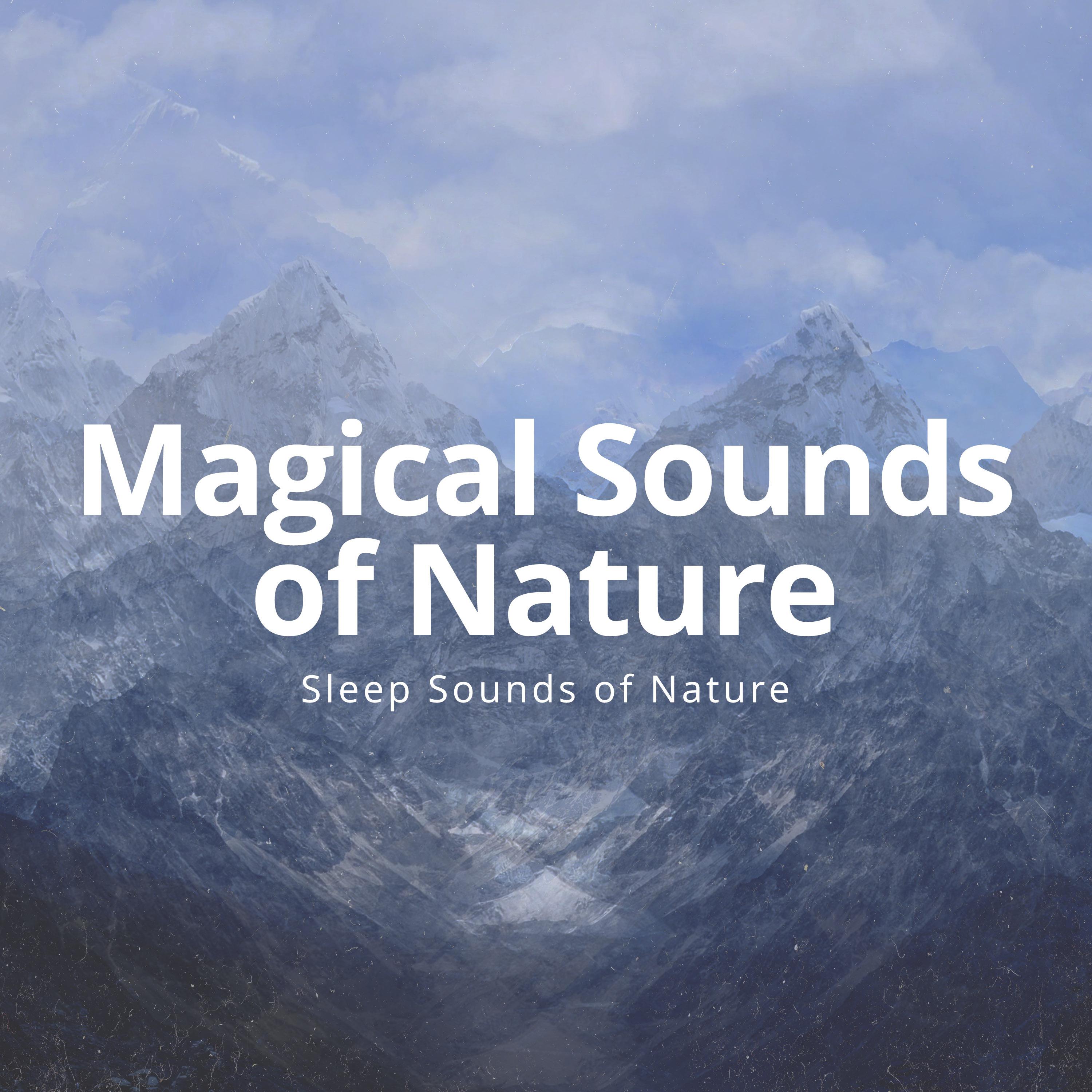 Magical Sounds of Nature