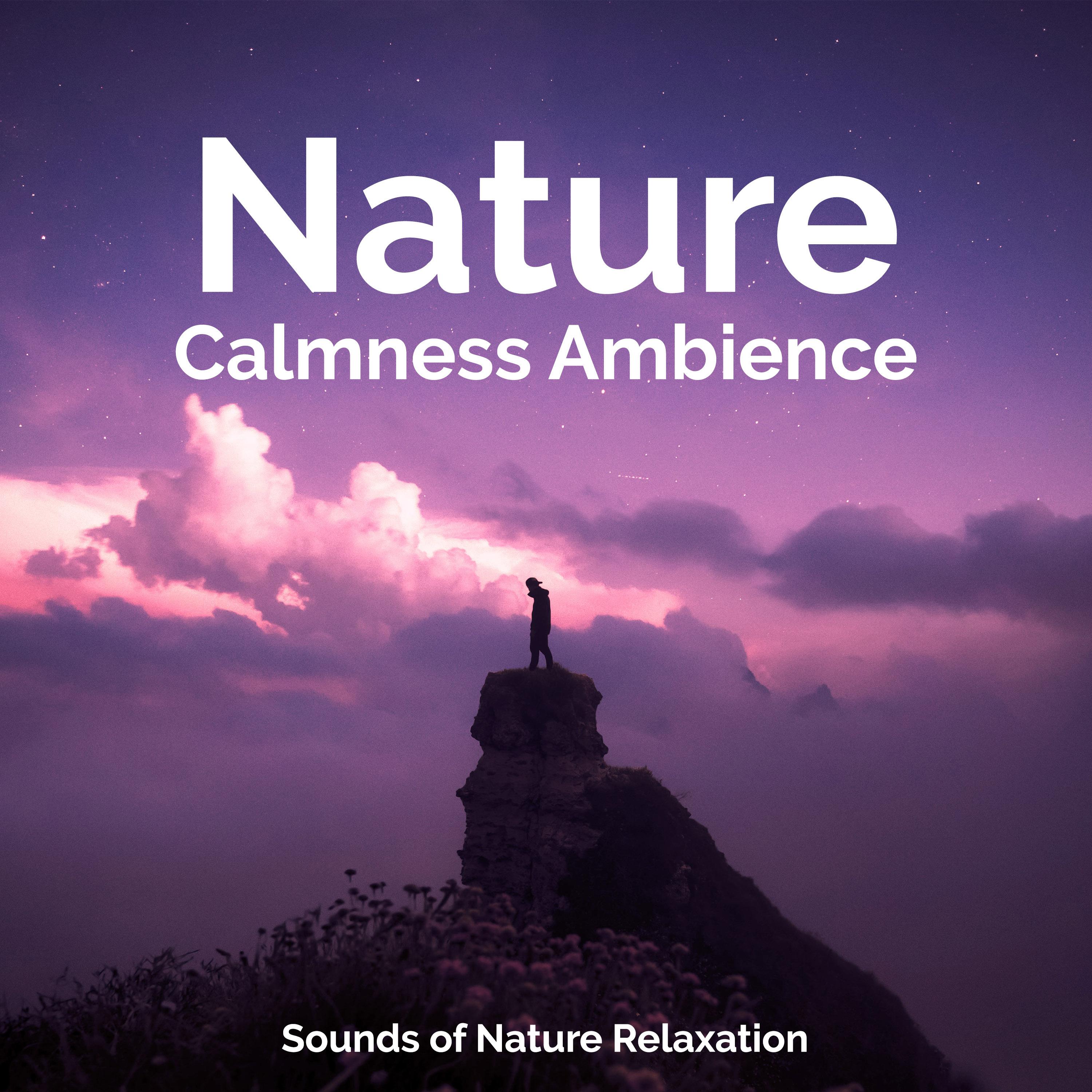 Nature Calmness Ambience