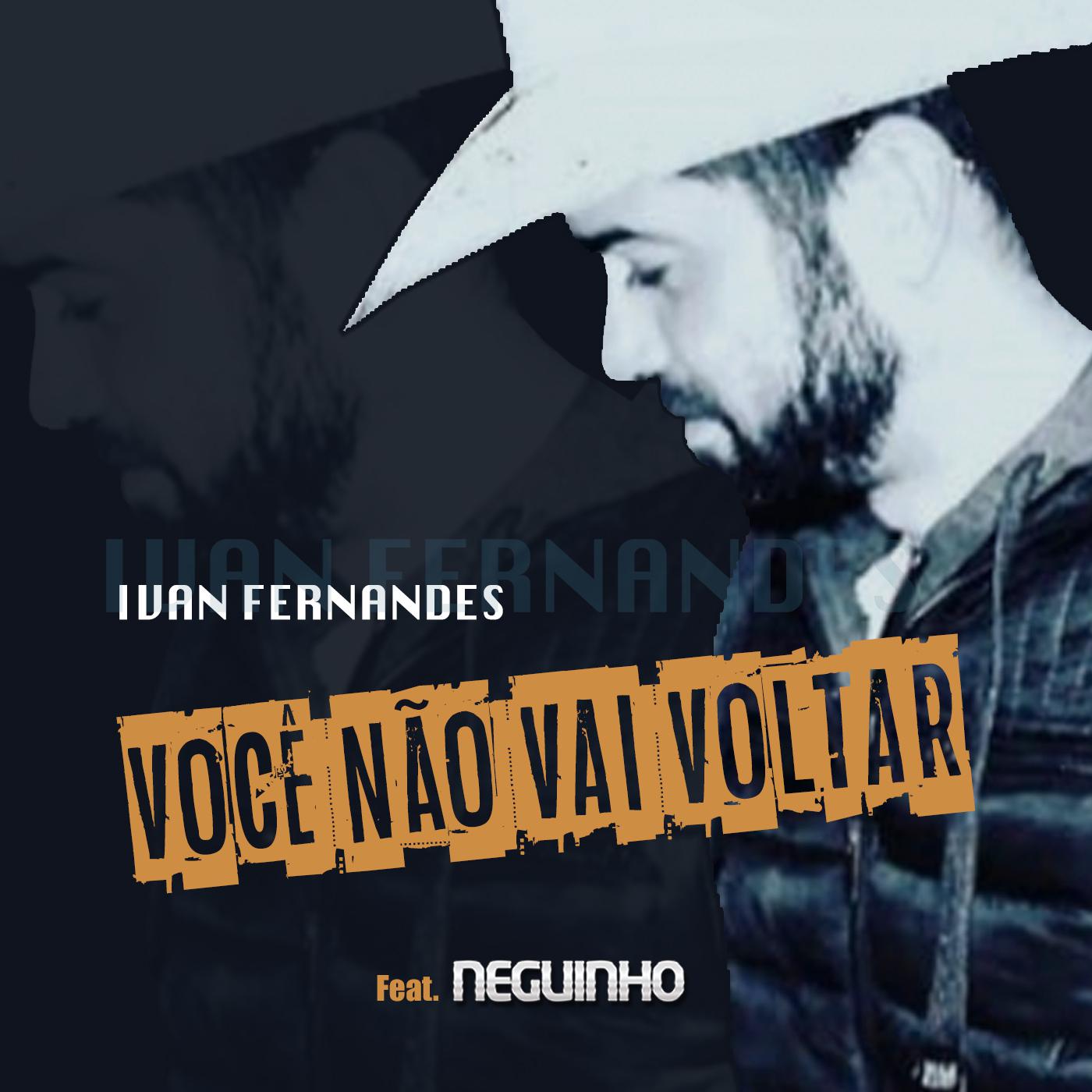 Voc N o Vai Voltar