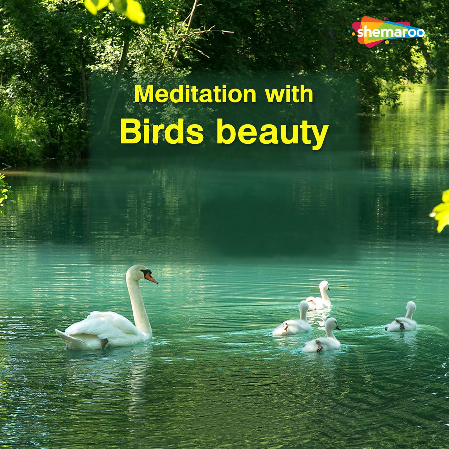 Meditation with Birds Beauty