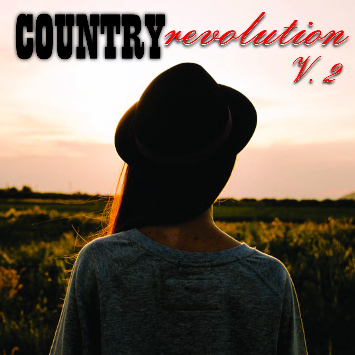 Country Revolution, Vol. 2