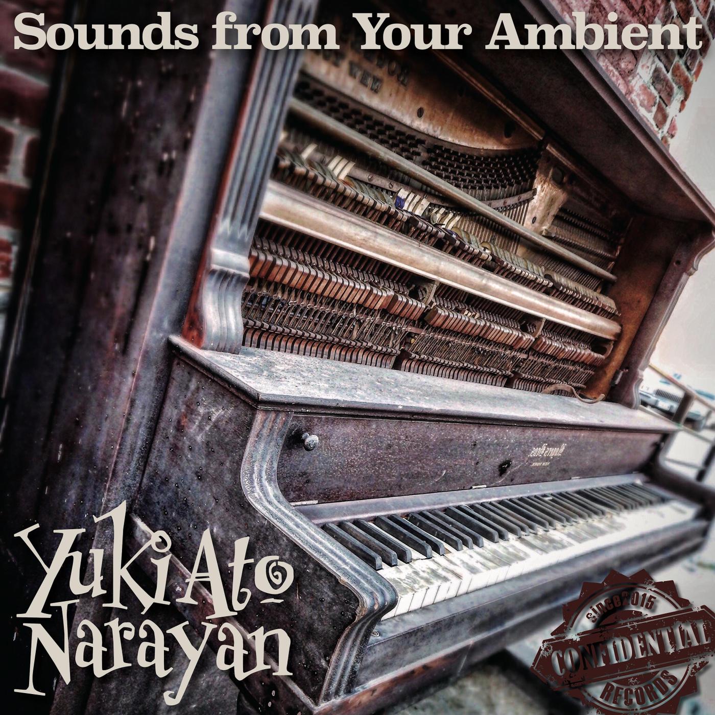 Melancholy in the Calm of Night