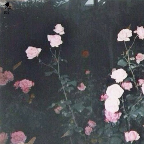 THE FIRE IN MY SOUL HAS EXTINGUISHED