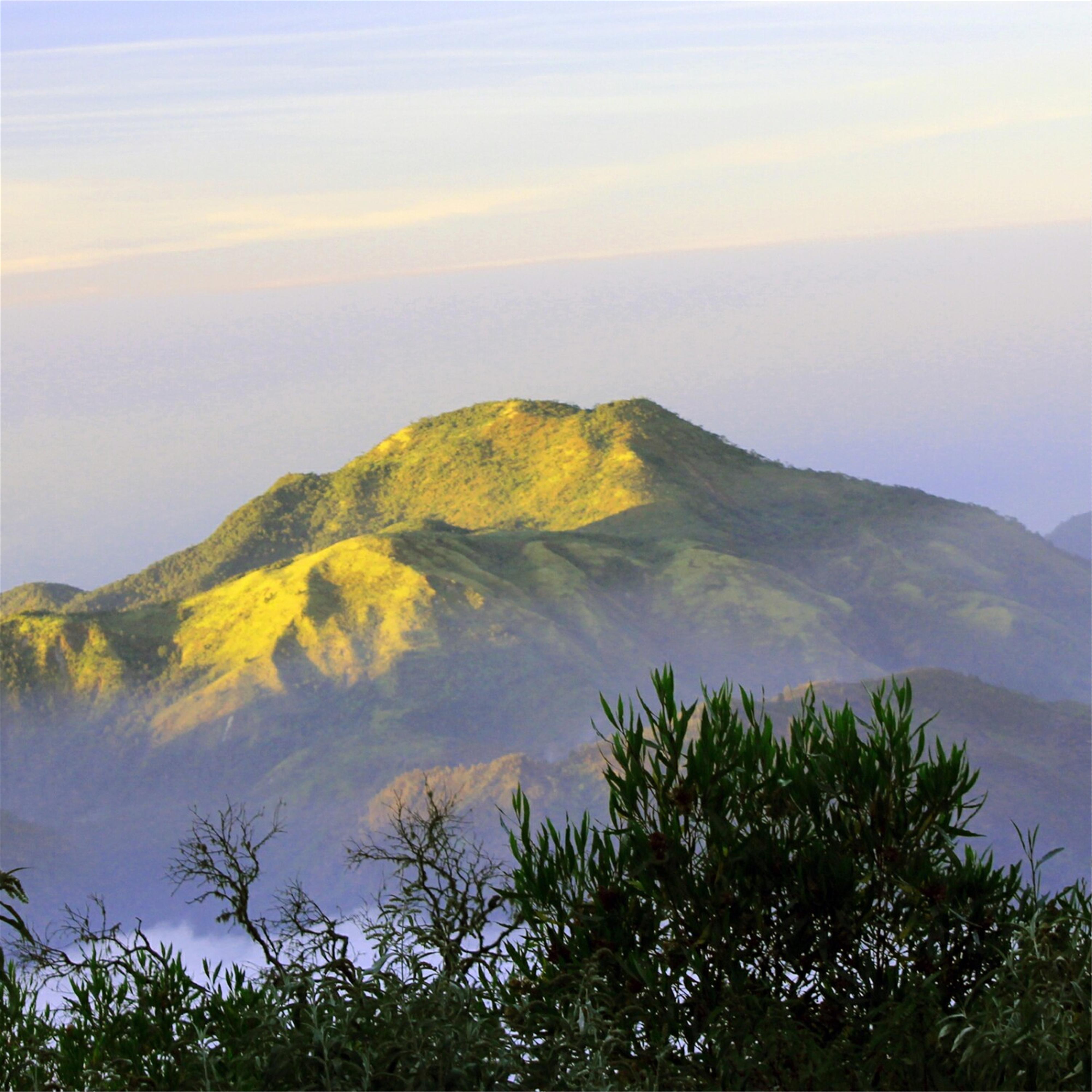 Album Aku Cinta Kamu