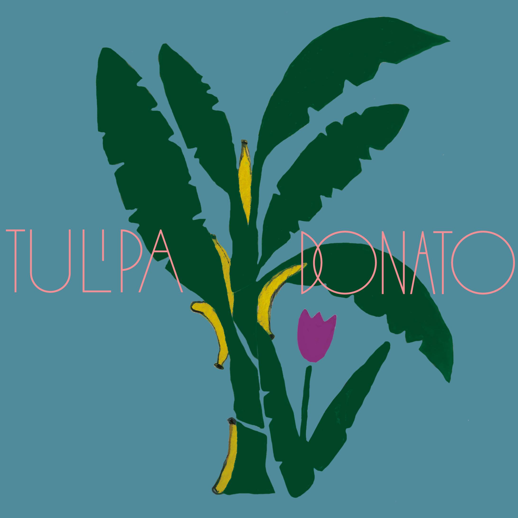Tulipa Ruiz e Jo o Donato