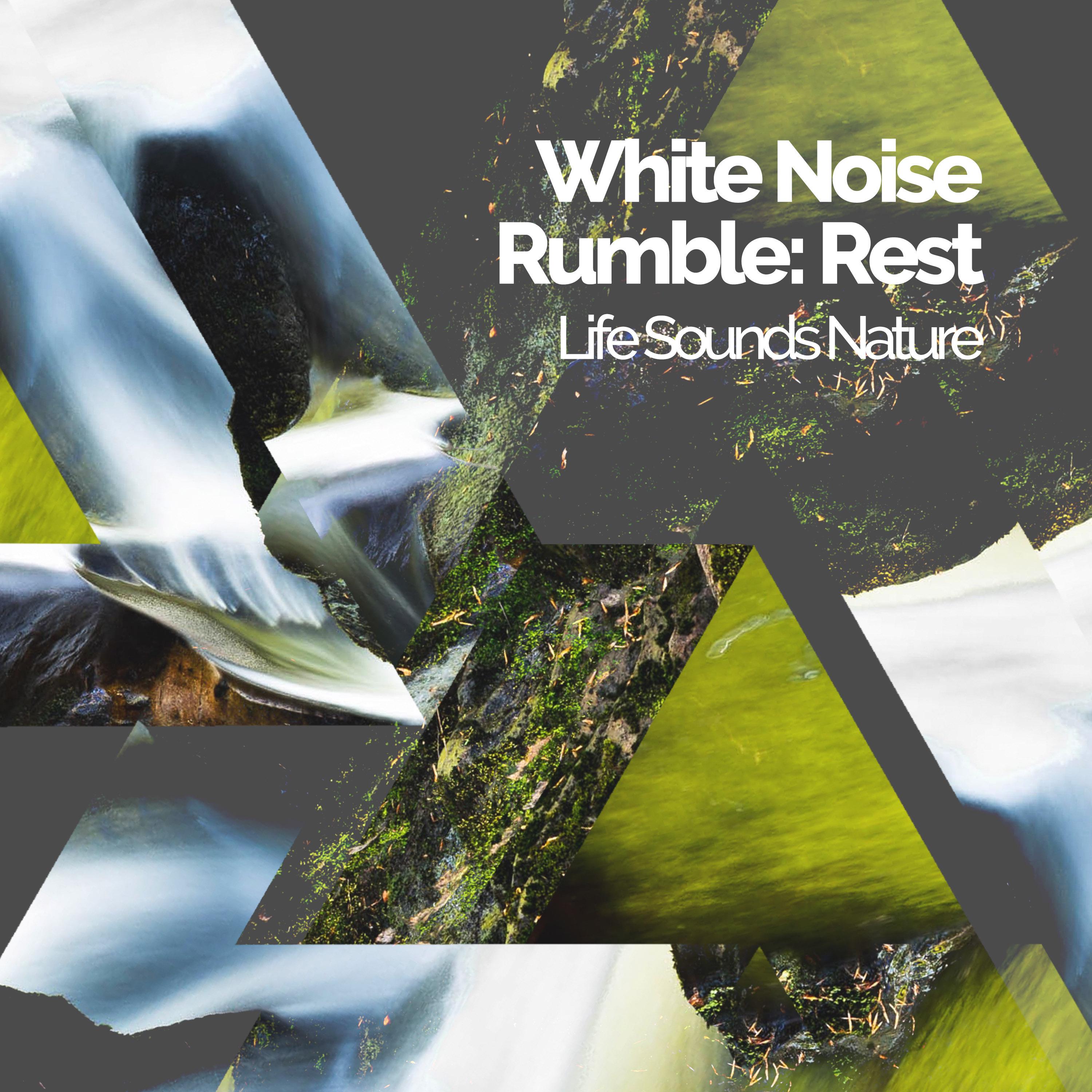 White Noise Rumble: Rest