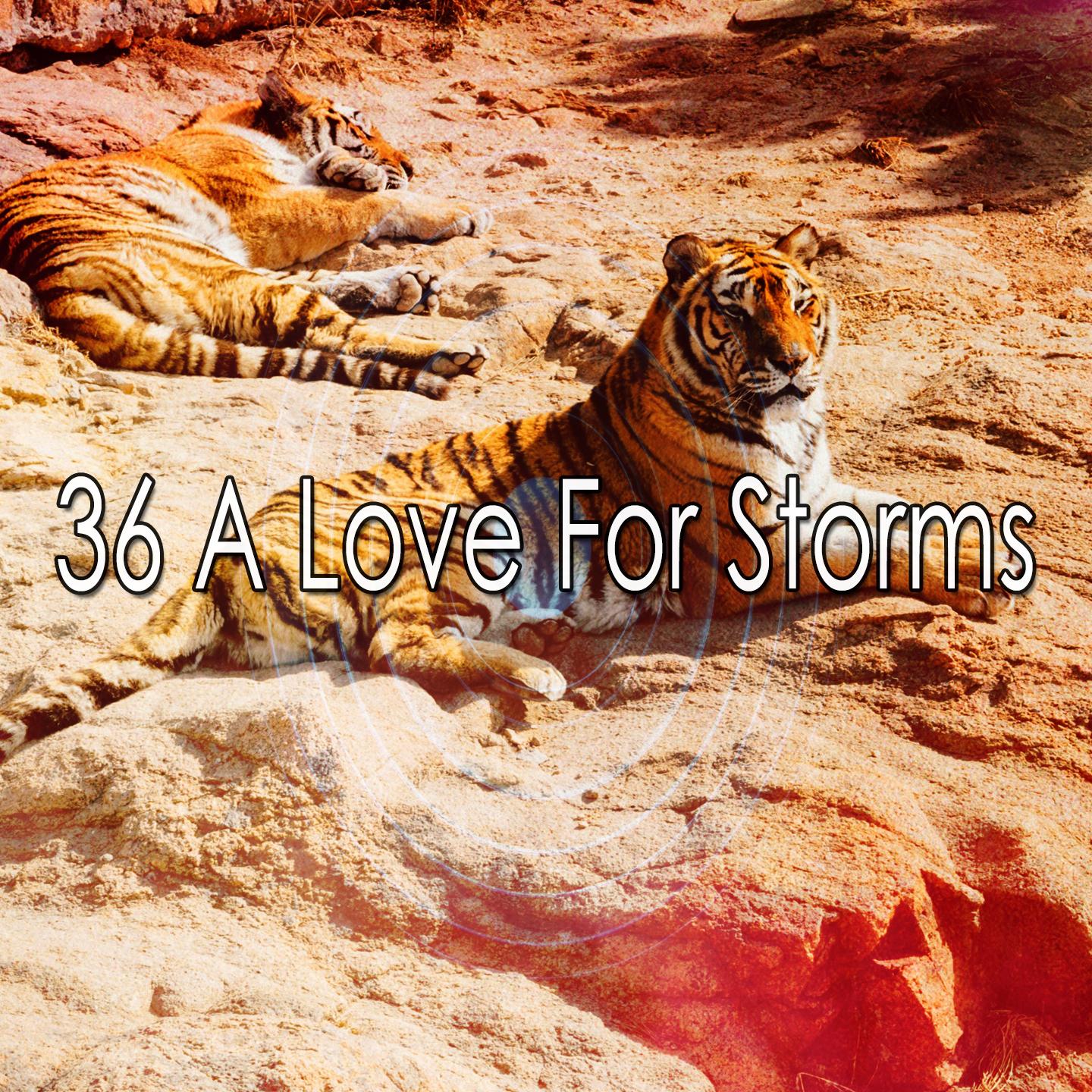 36 A Love for Storms