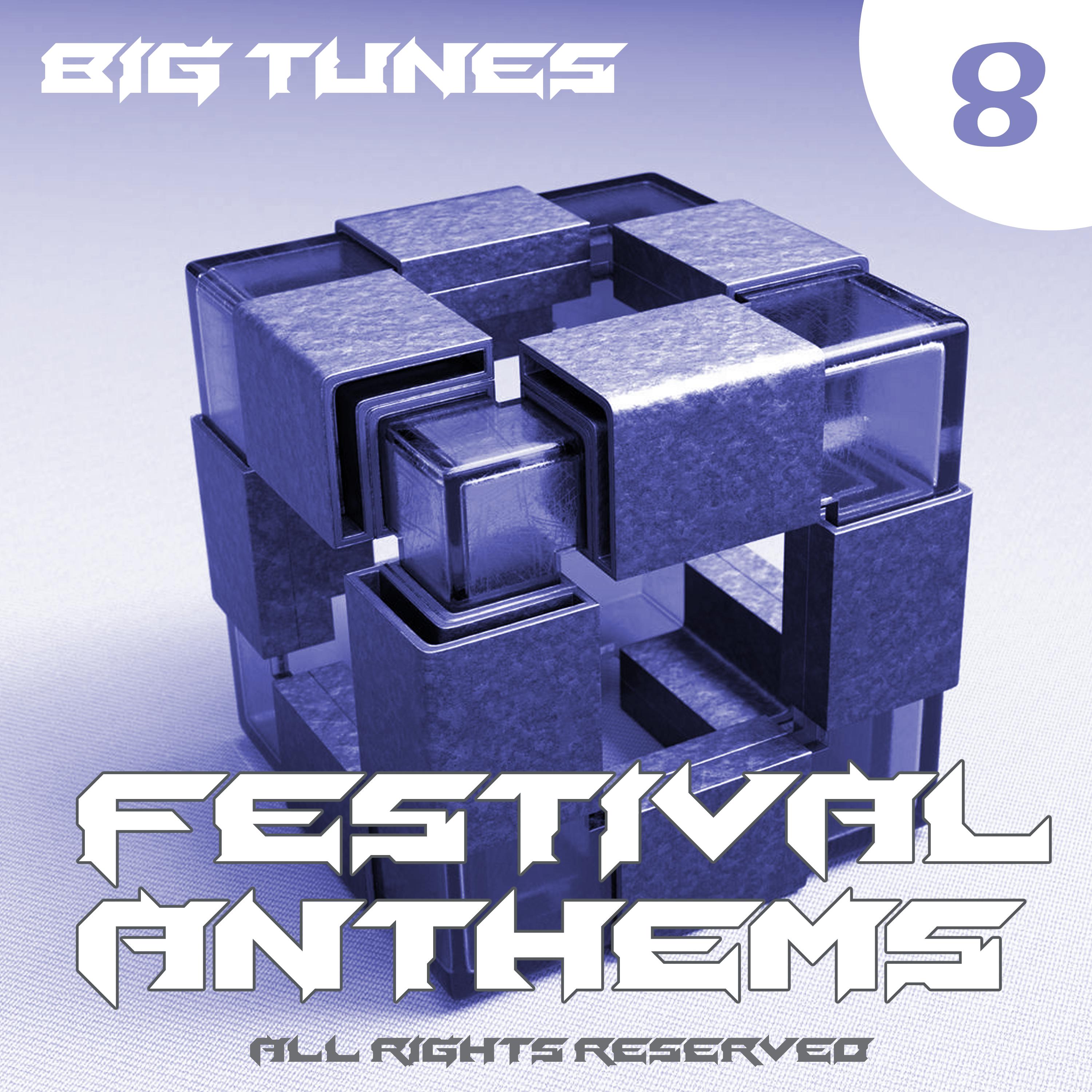 Festival Anthems, Vol. 8