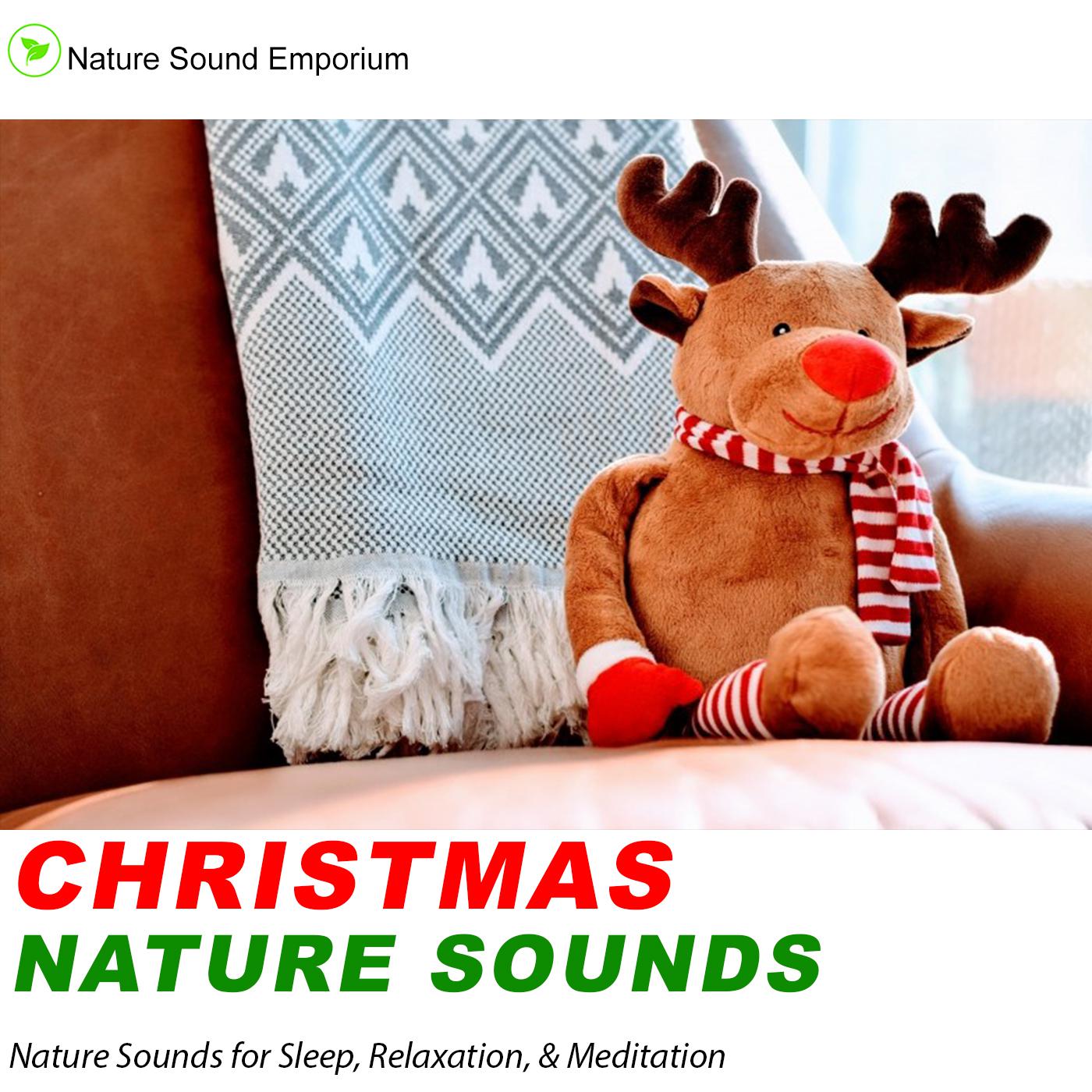 Christmas Nature Sounds - Nature Sounds for Relaxation, Meditation, Studying & Deep Sleep