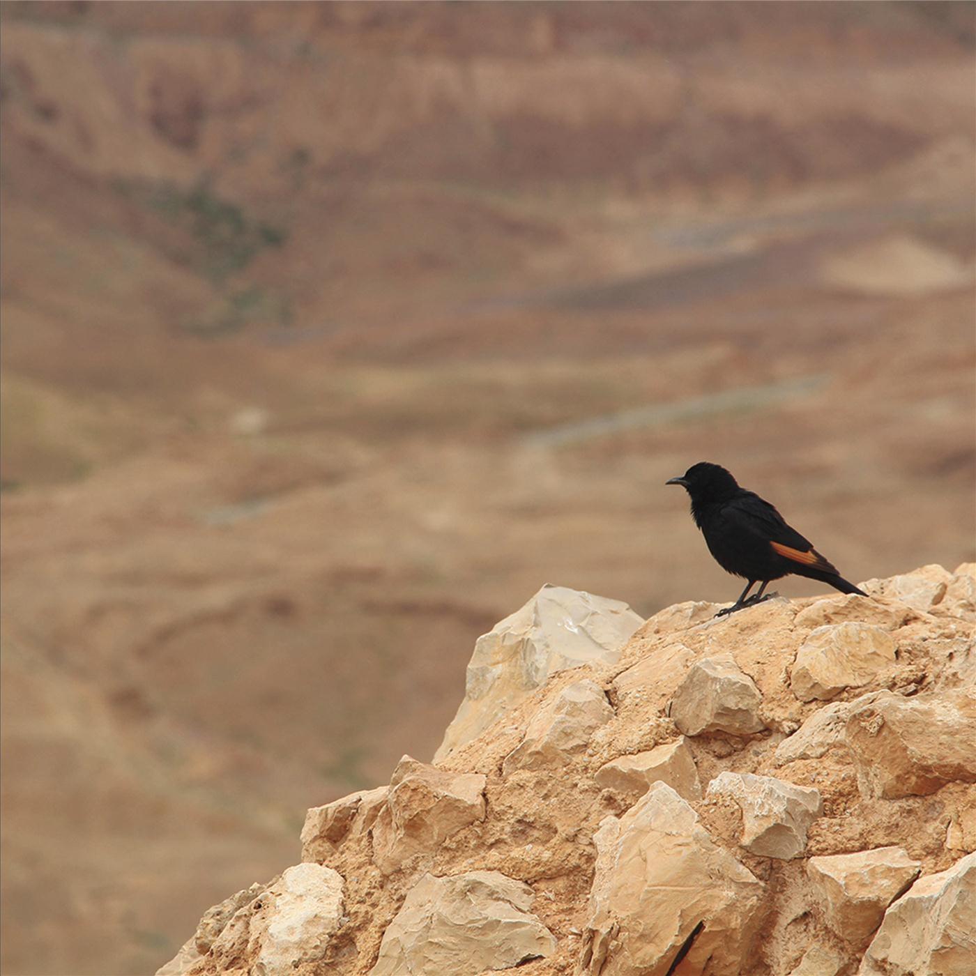 Udhu: Be Still and Know