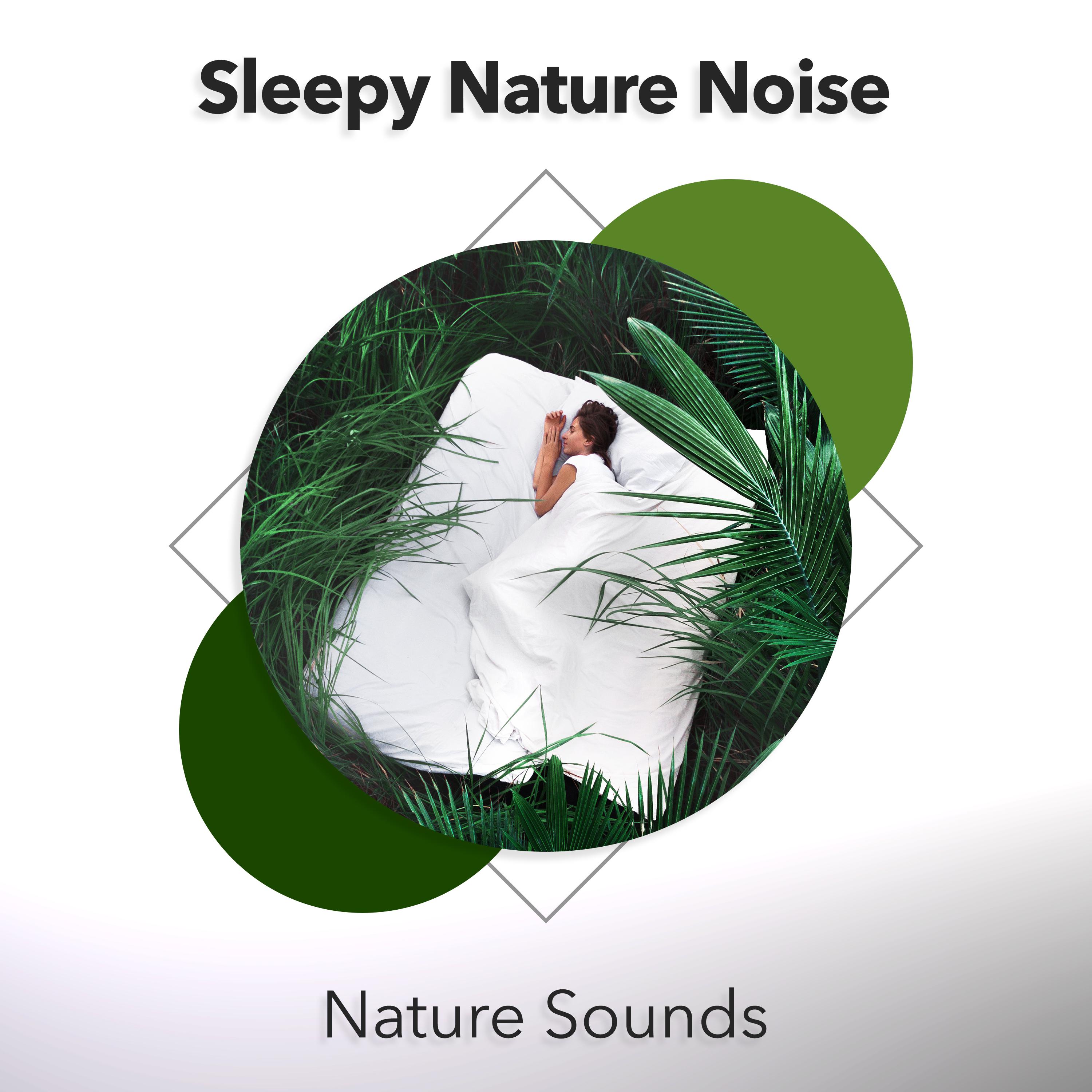 Sleepy Nature Noise