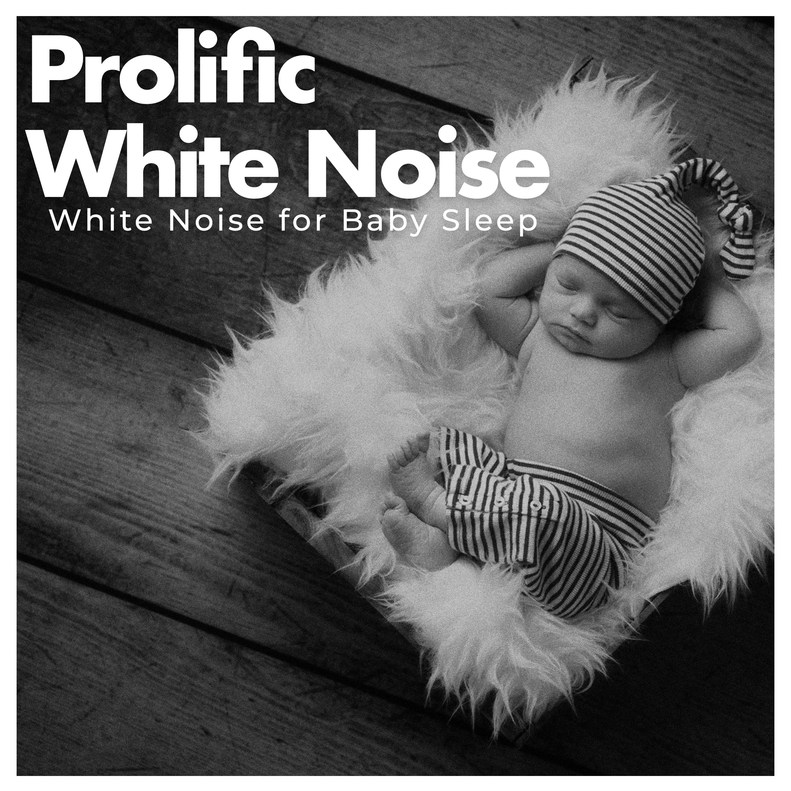 Prolific White Noise