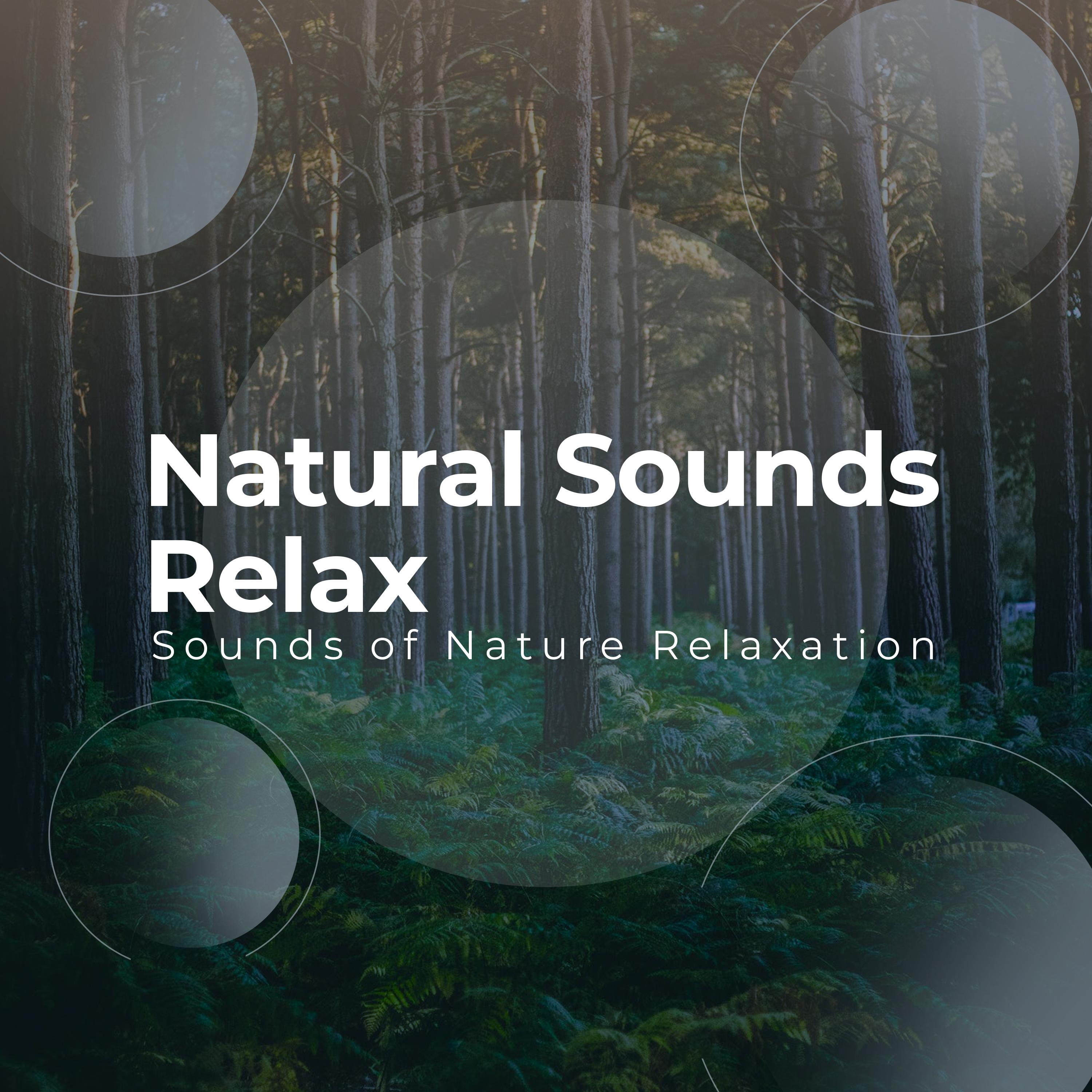 Natural Sounds: Relax