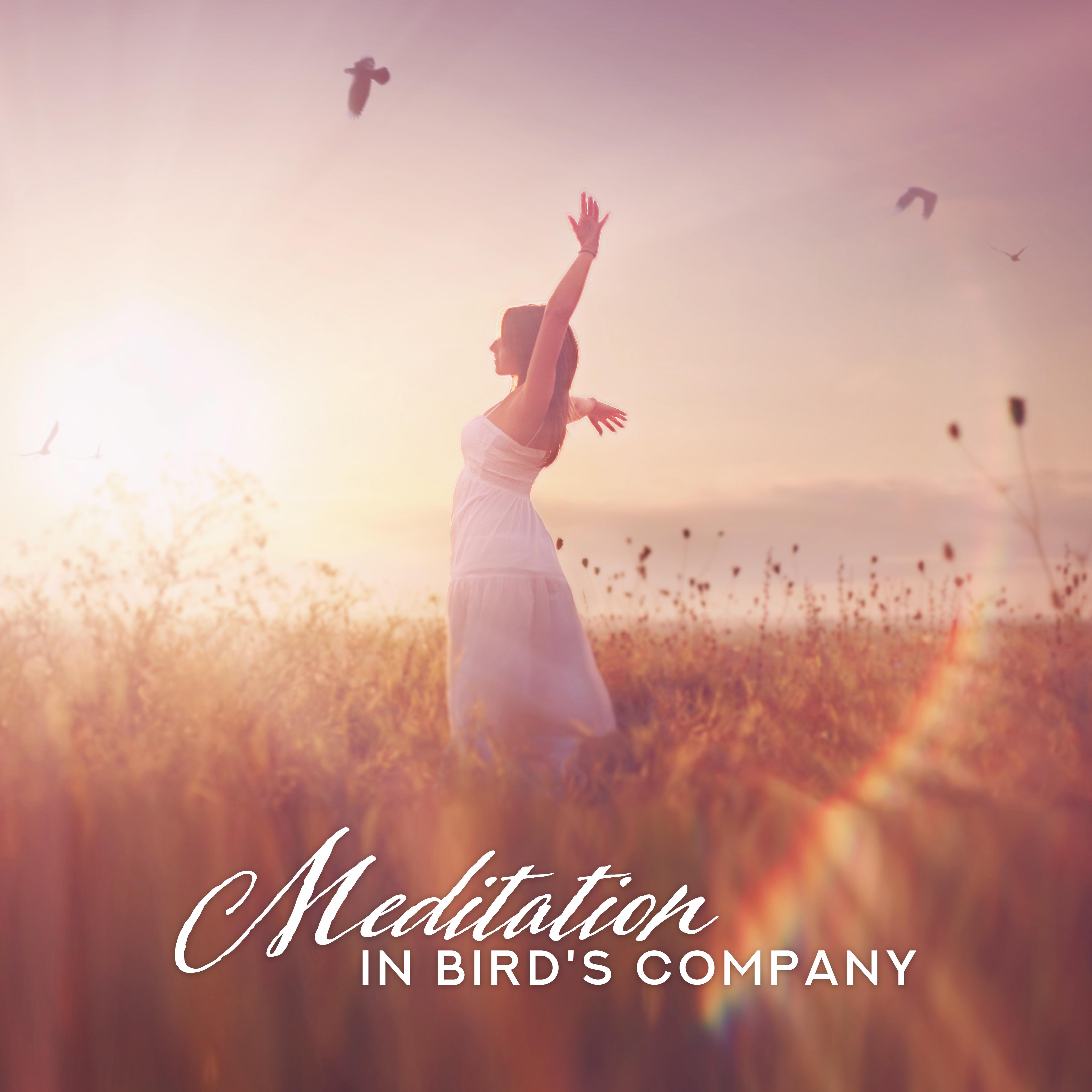 Meditation in Bird's Company (Meditation Music with Sounds of Nature)