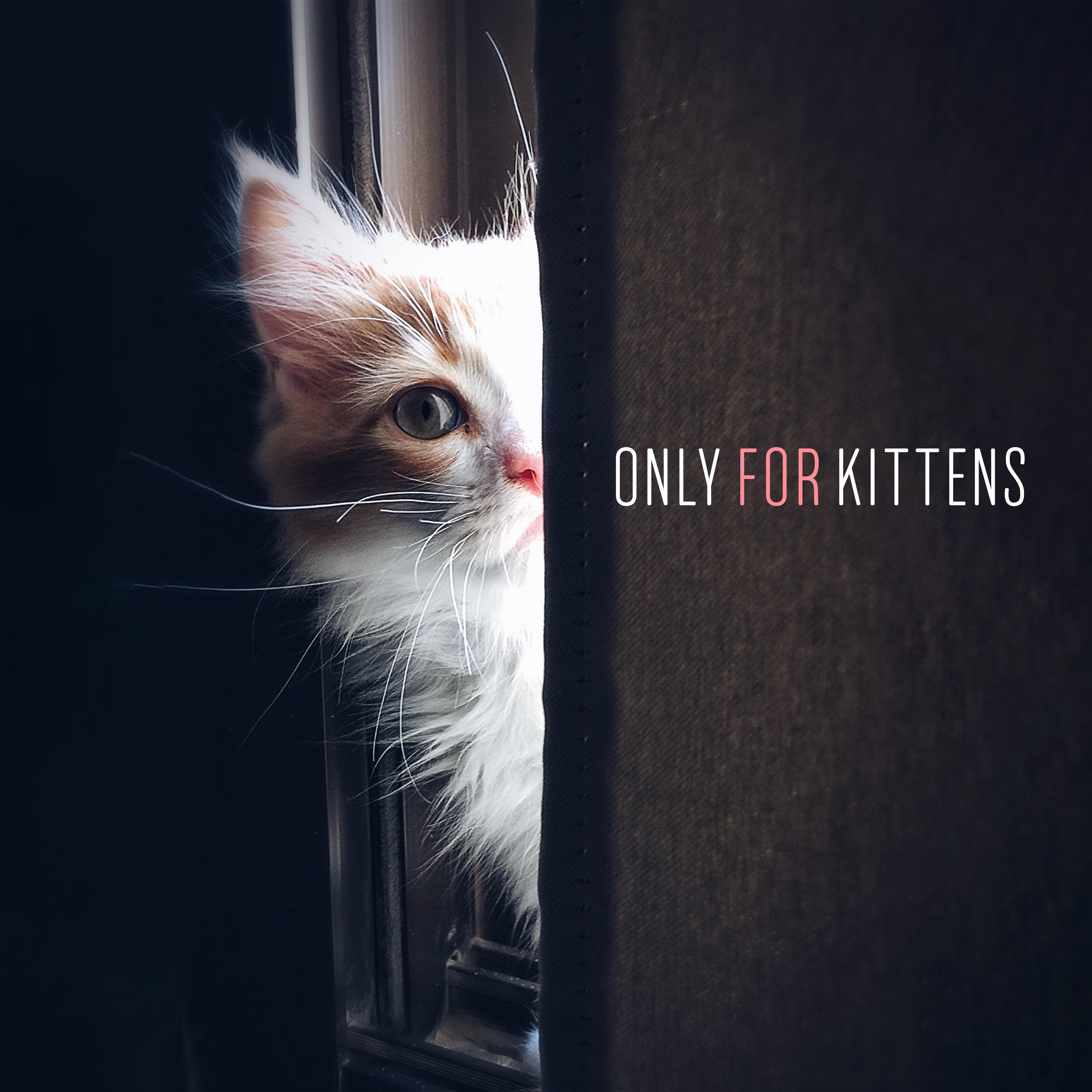 Only for Kittens - Calm Music Relaxing Cats