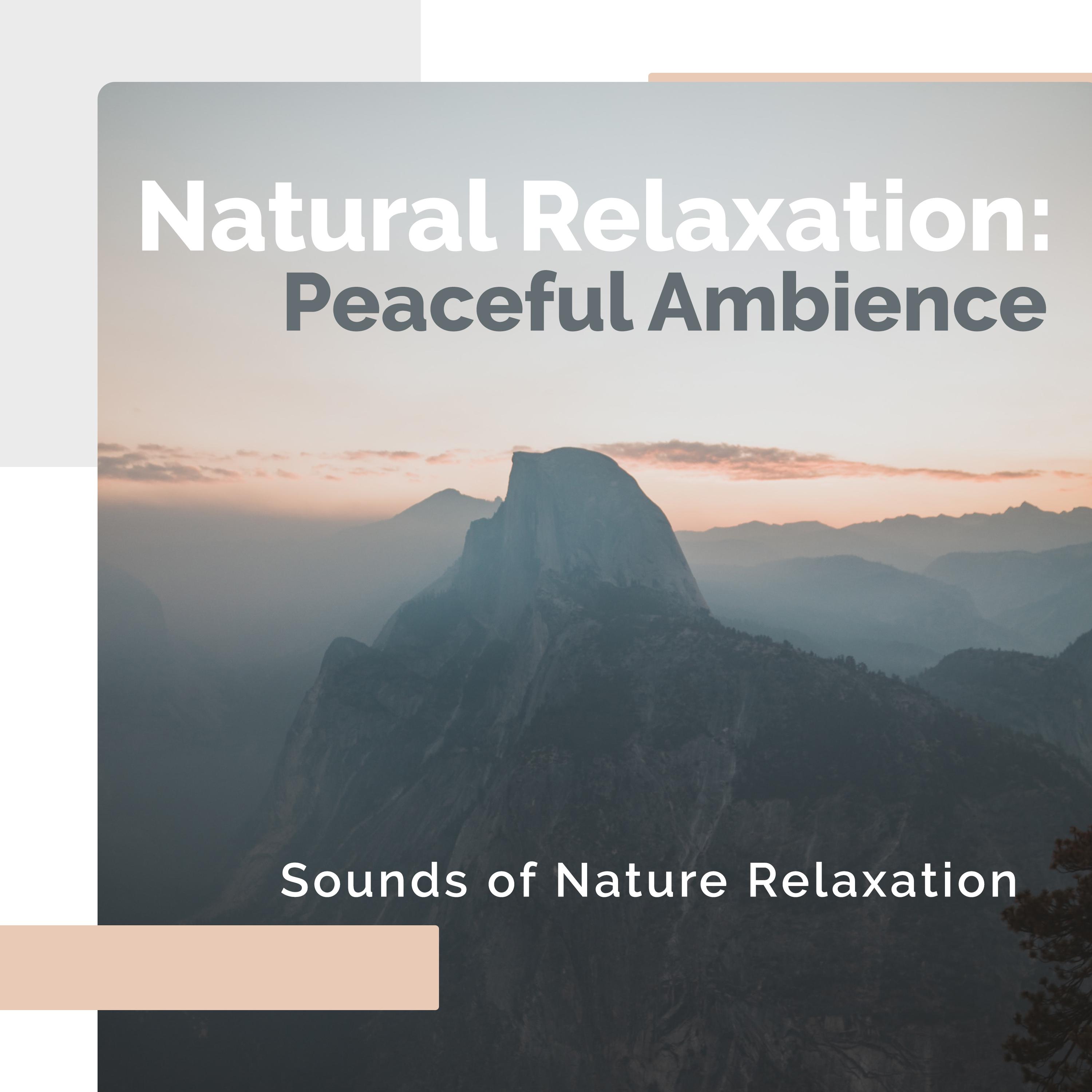 Natural Relaxation: Peaceful Ambience
