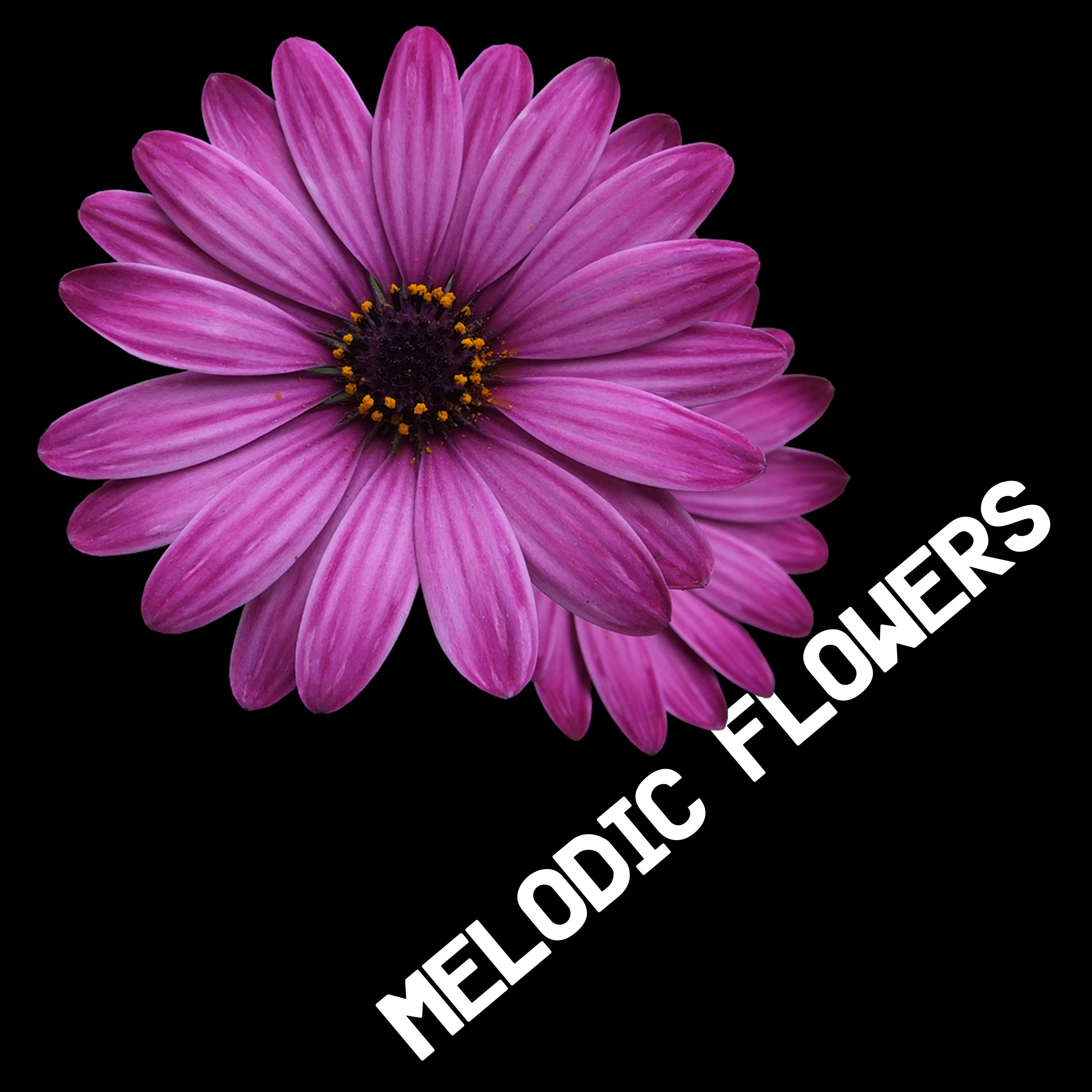 Melodic Flowers