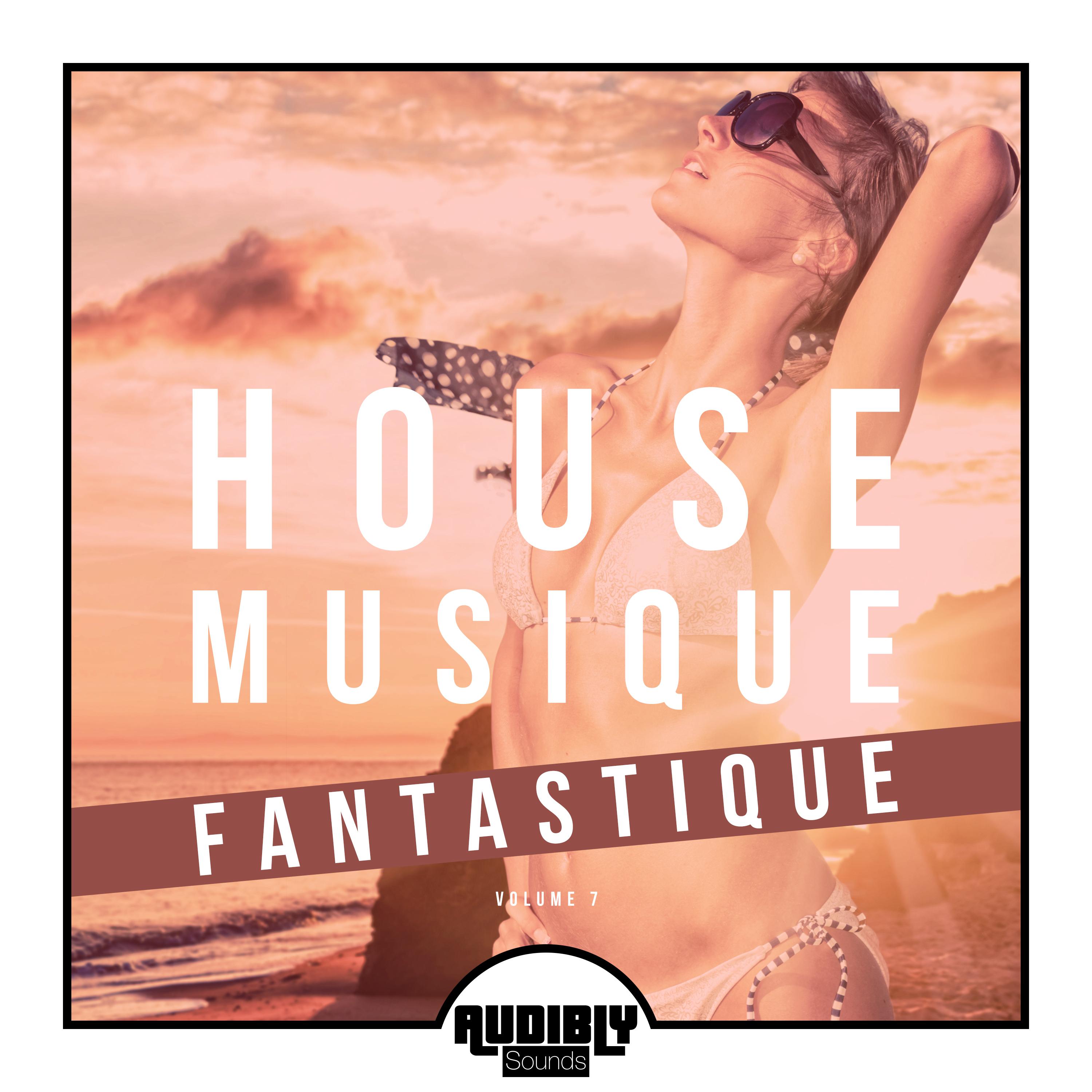 House Musique Fantastique, Vol. 7