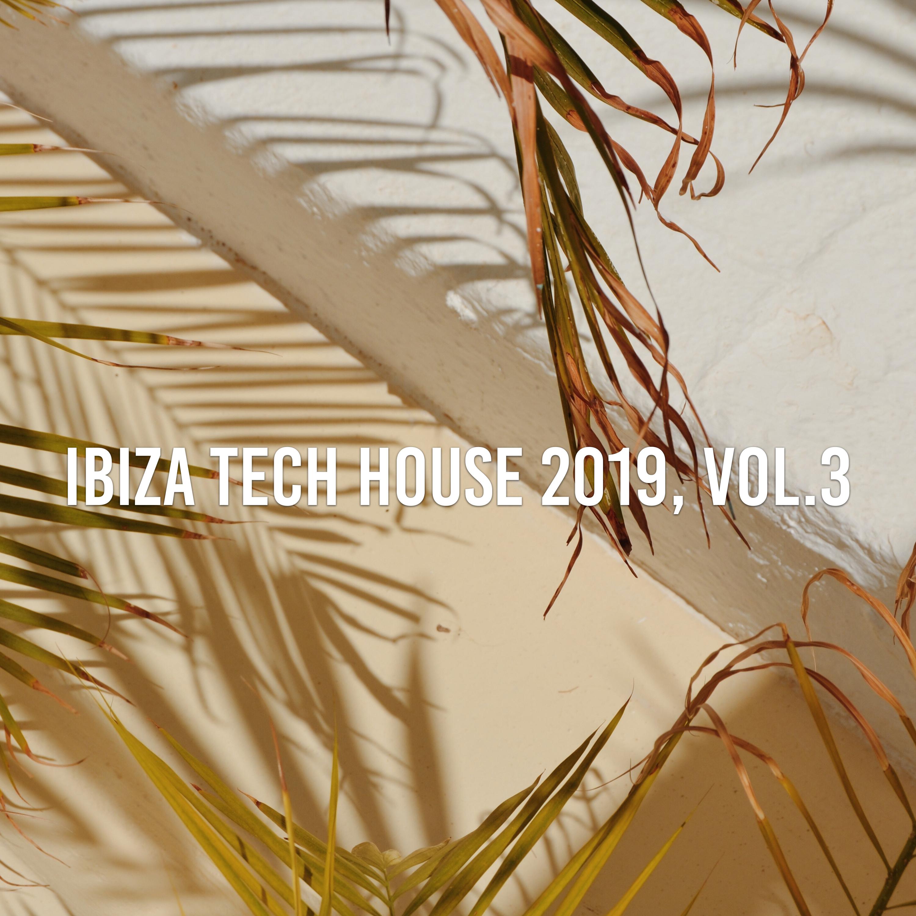 Ibiza Tech House 2019, Vol. 3
