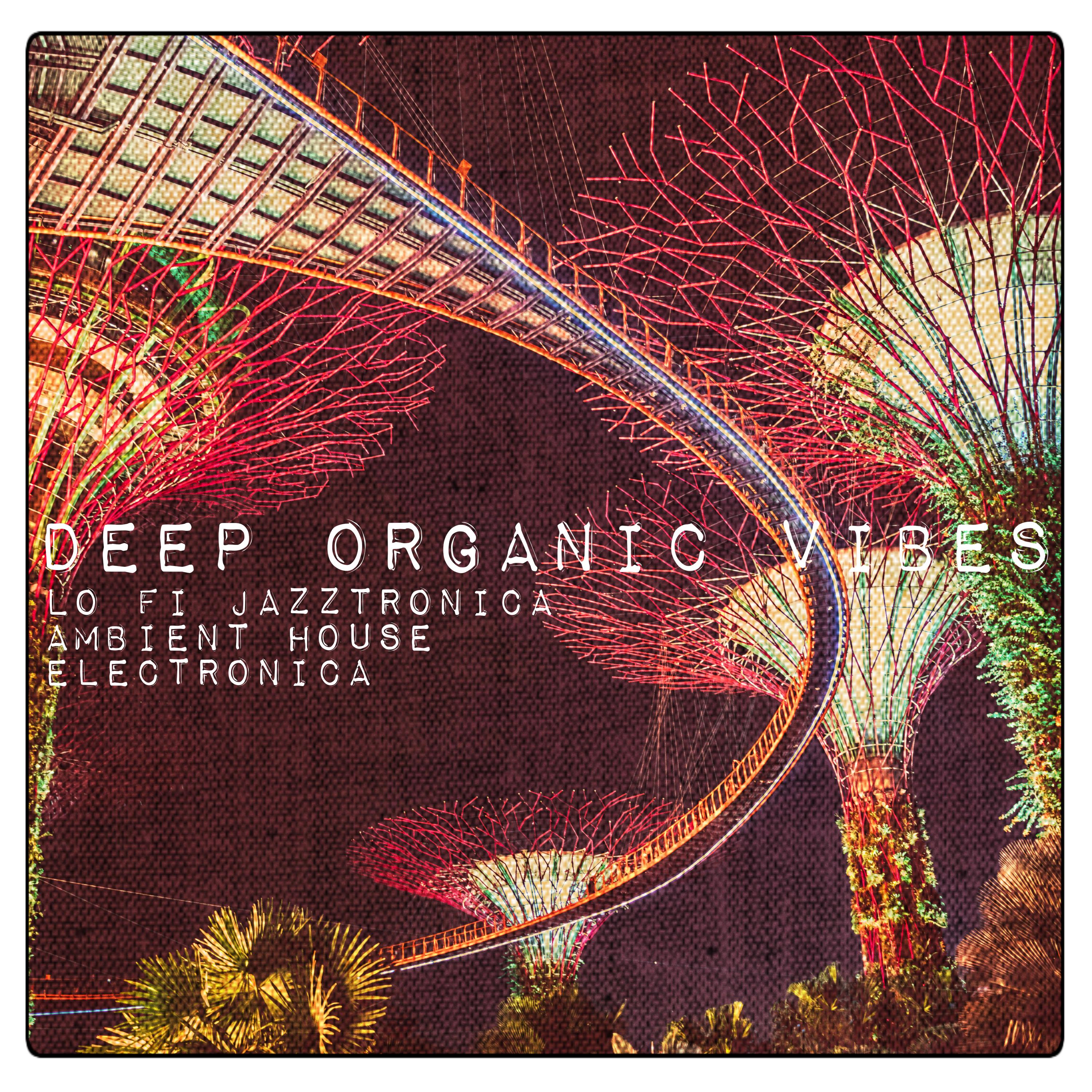 Deep Organic Vibes