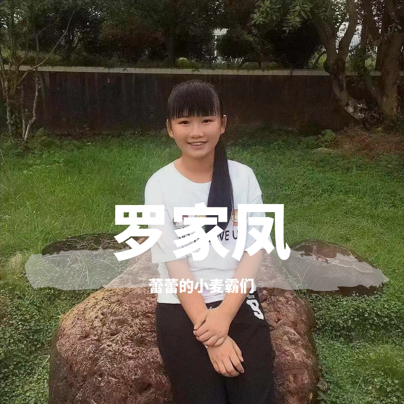 luo jia feng guang dong