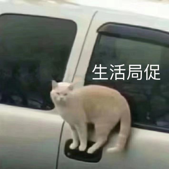 wu yu lun bi de mei li