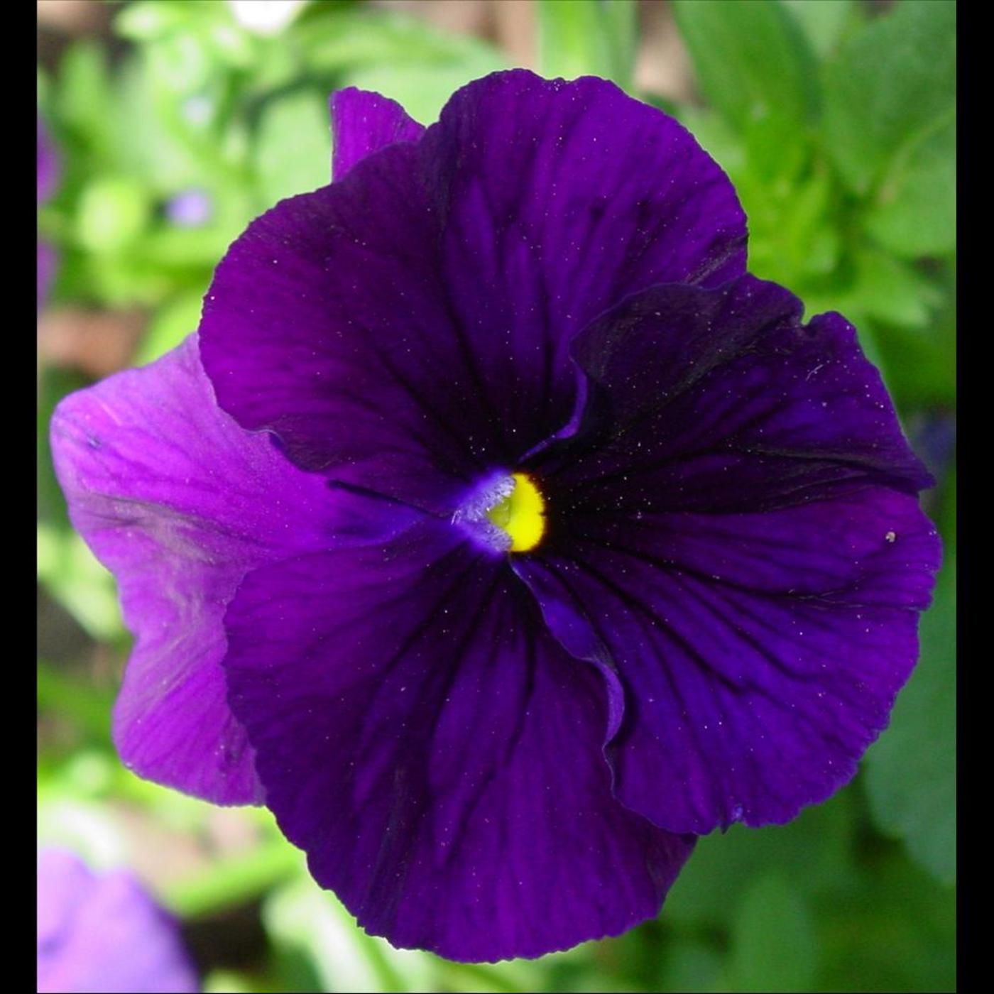 Create Your Safe Place