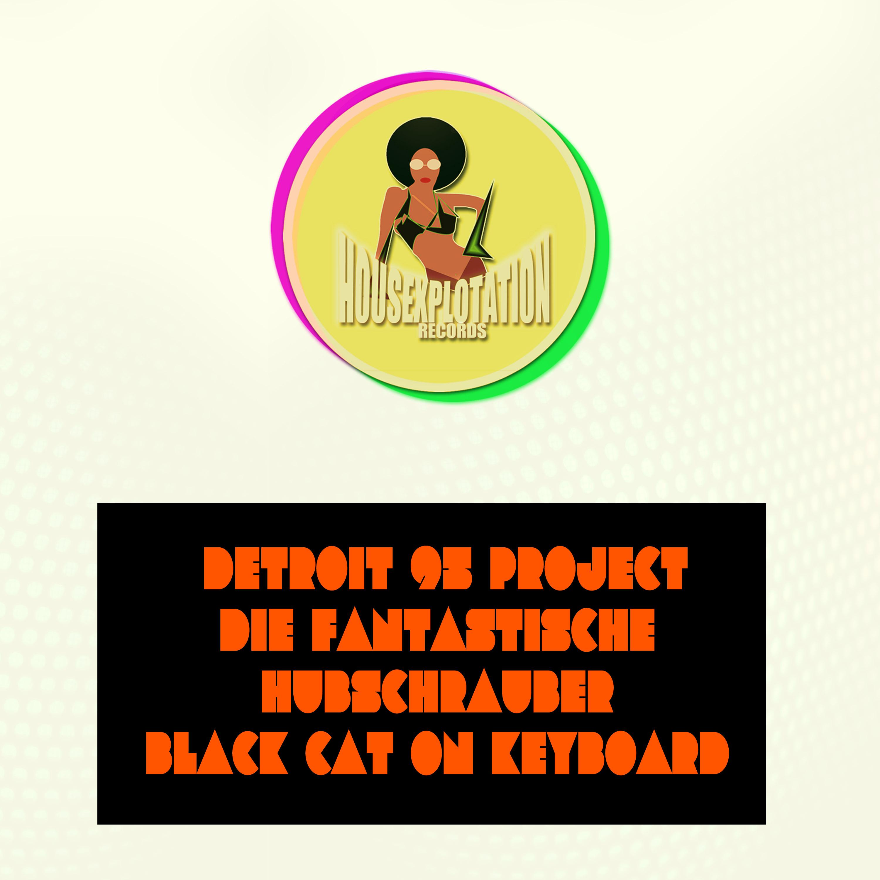 Black Cat on Keyboard