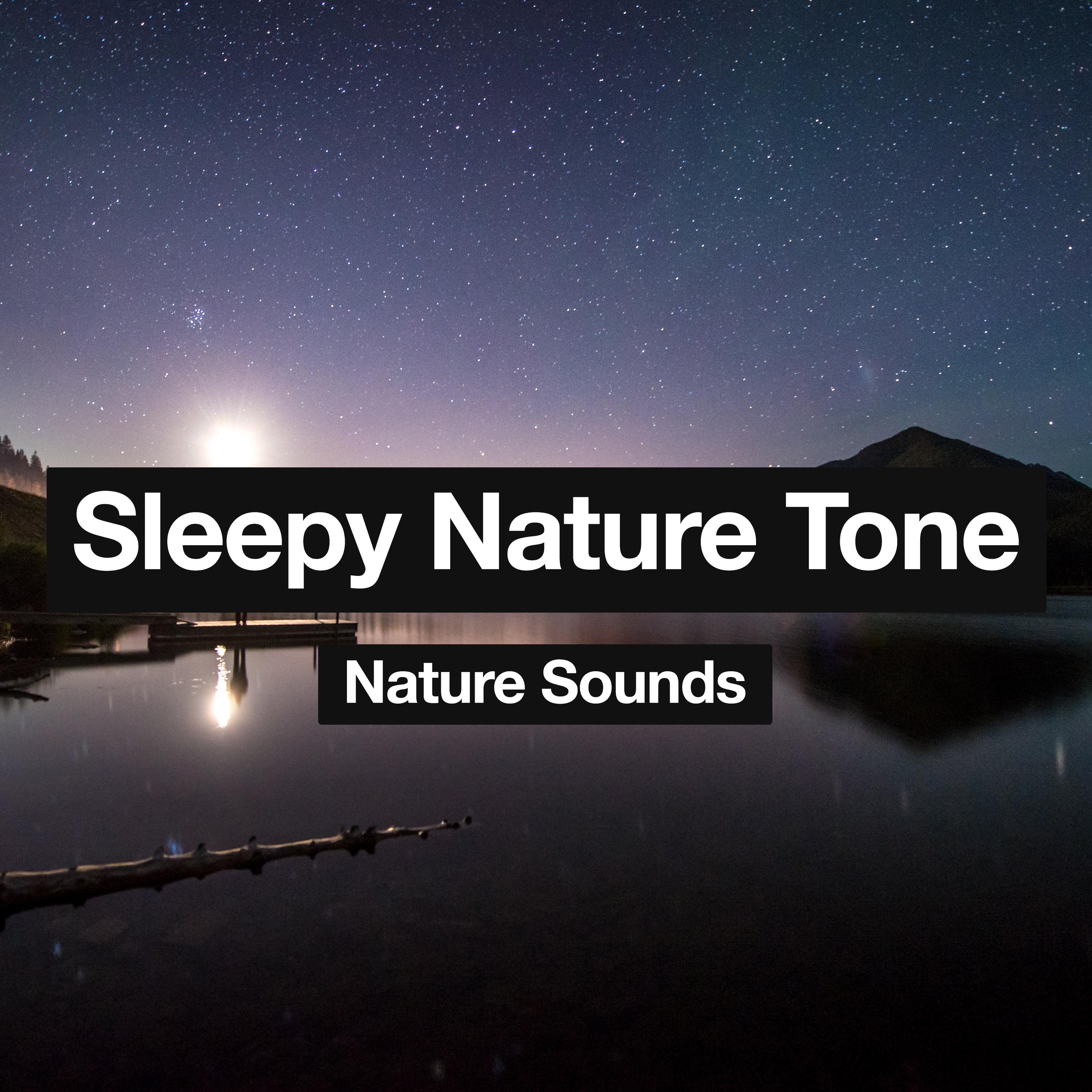 Sleepy Nature Tone