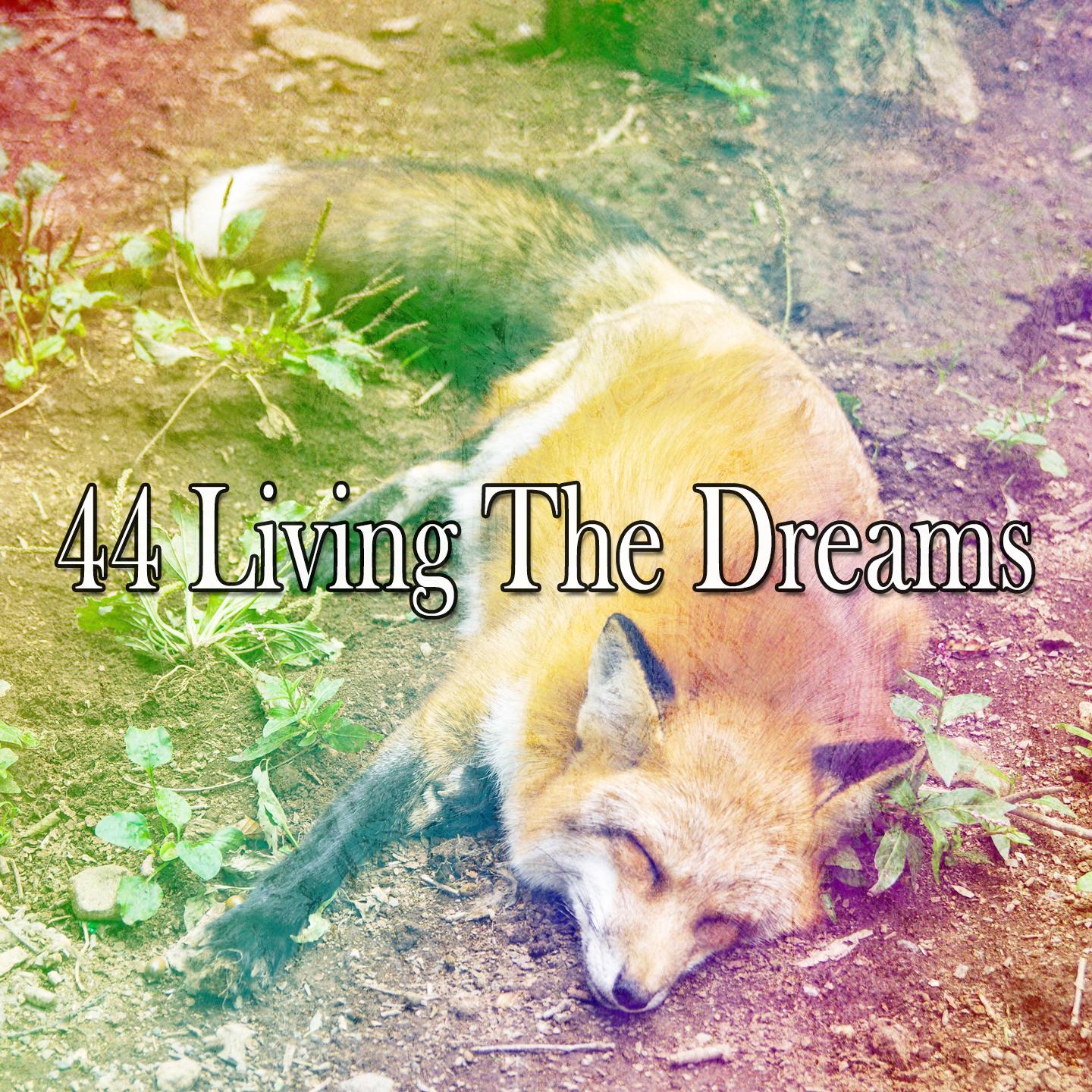 44 Living the Dreams