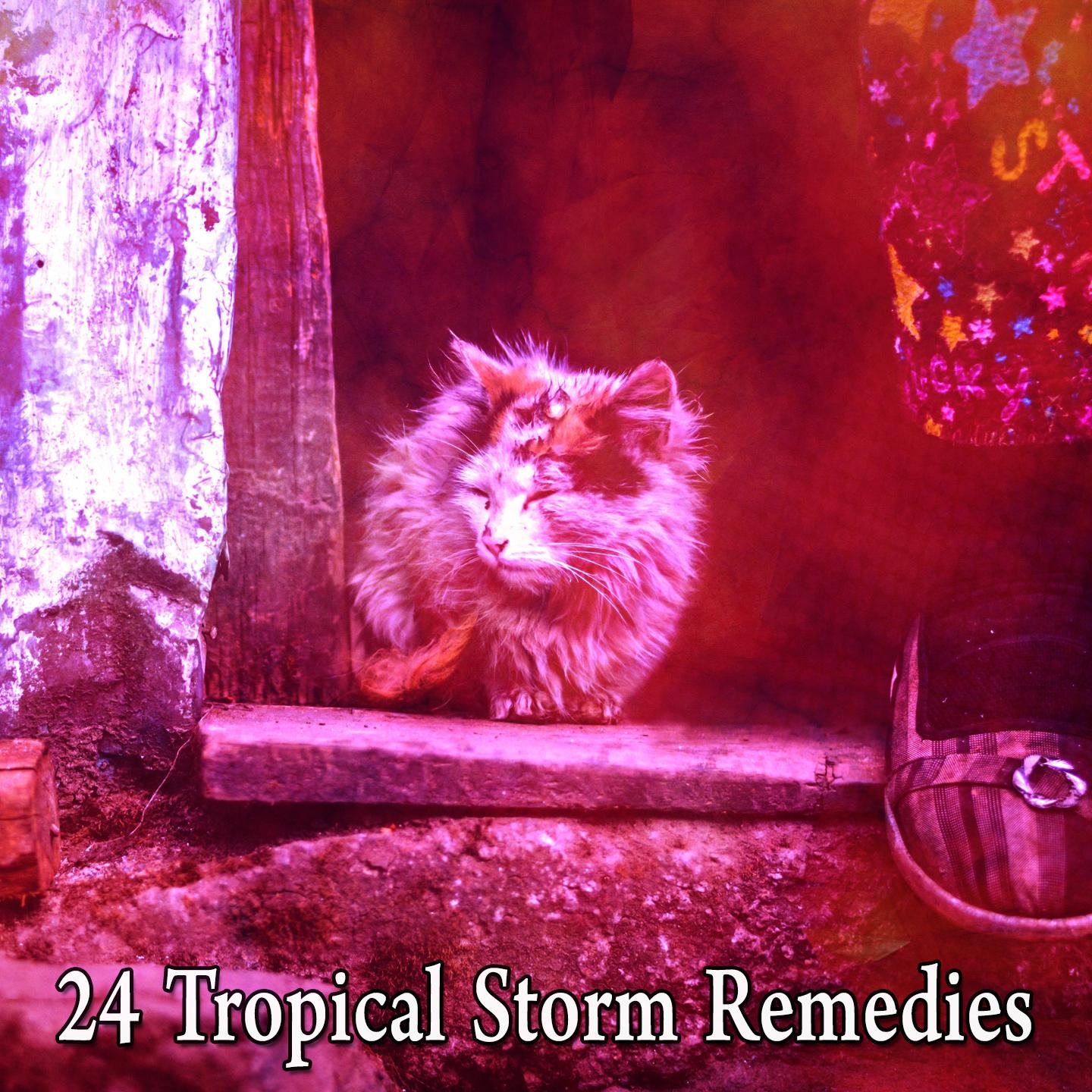 24 Tropical Storm Remedies