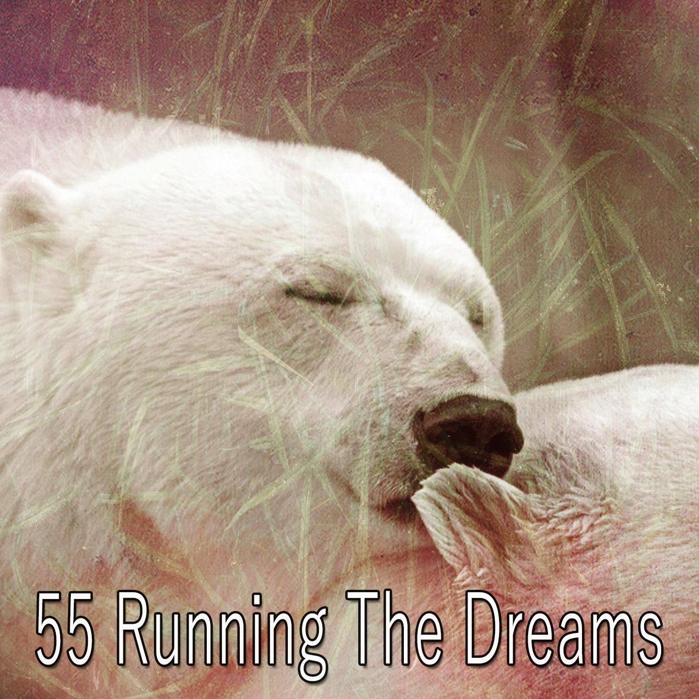 55 Running the Dreams