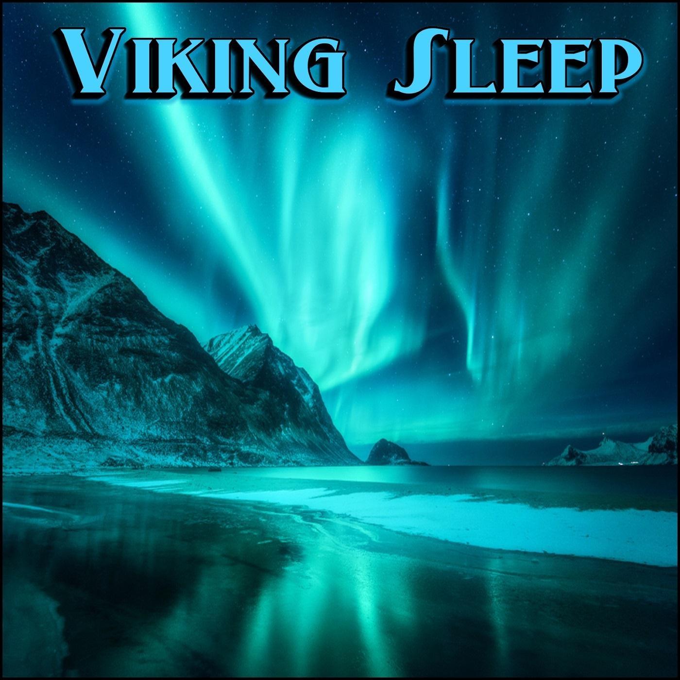 Viking Sleep