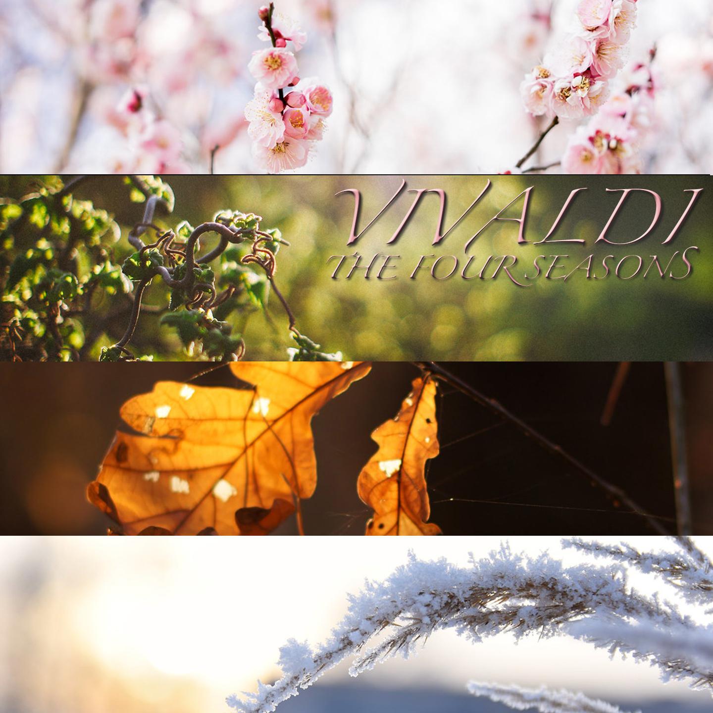 Spring II. Largo:Spring II. Largo in C-Sharp Minor