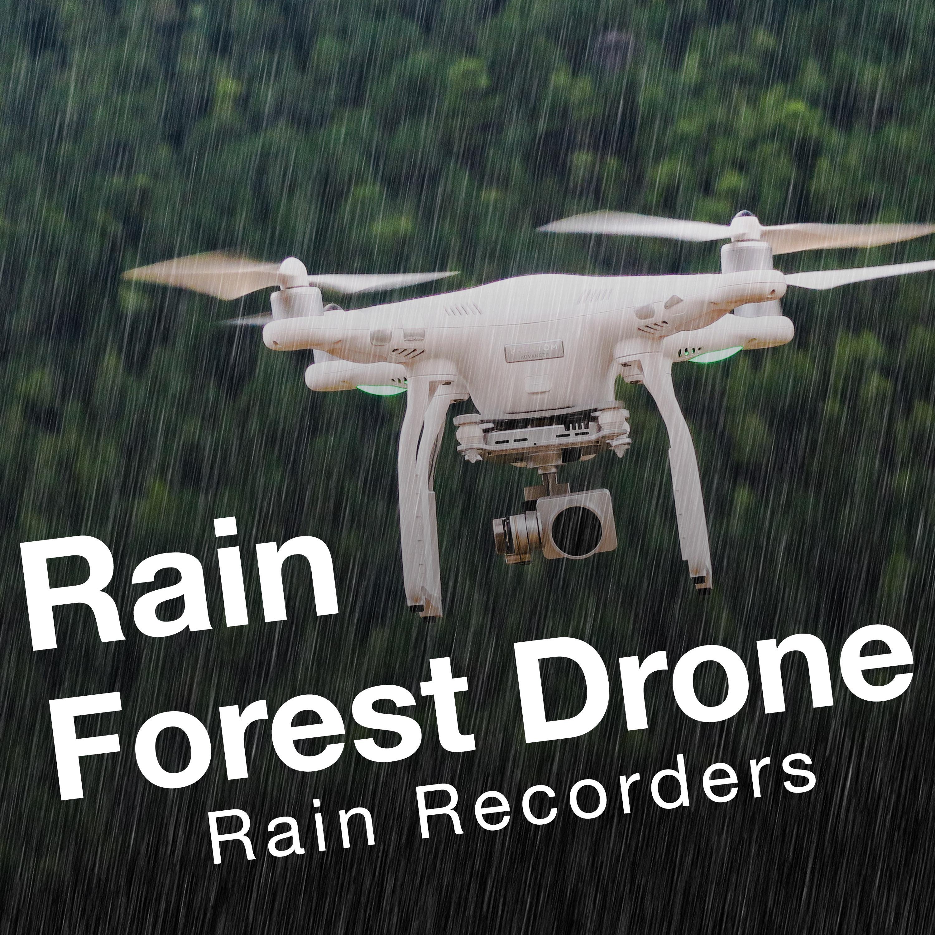 Rain Forest Drone