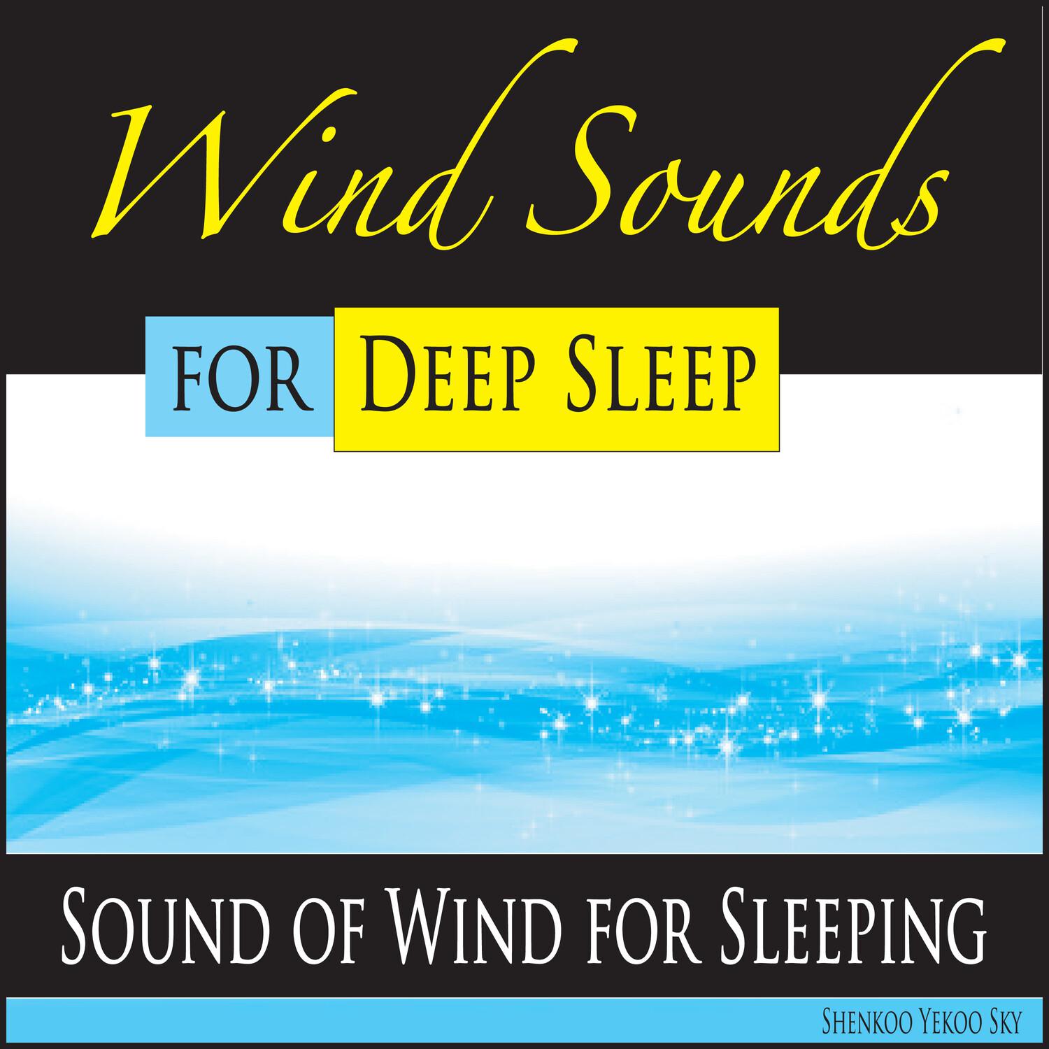 Wind Sound Deep Sleep Moods