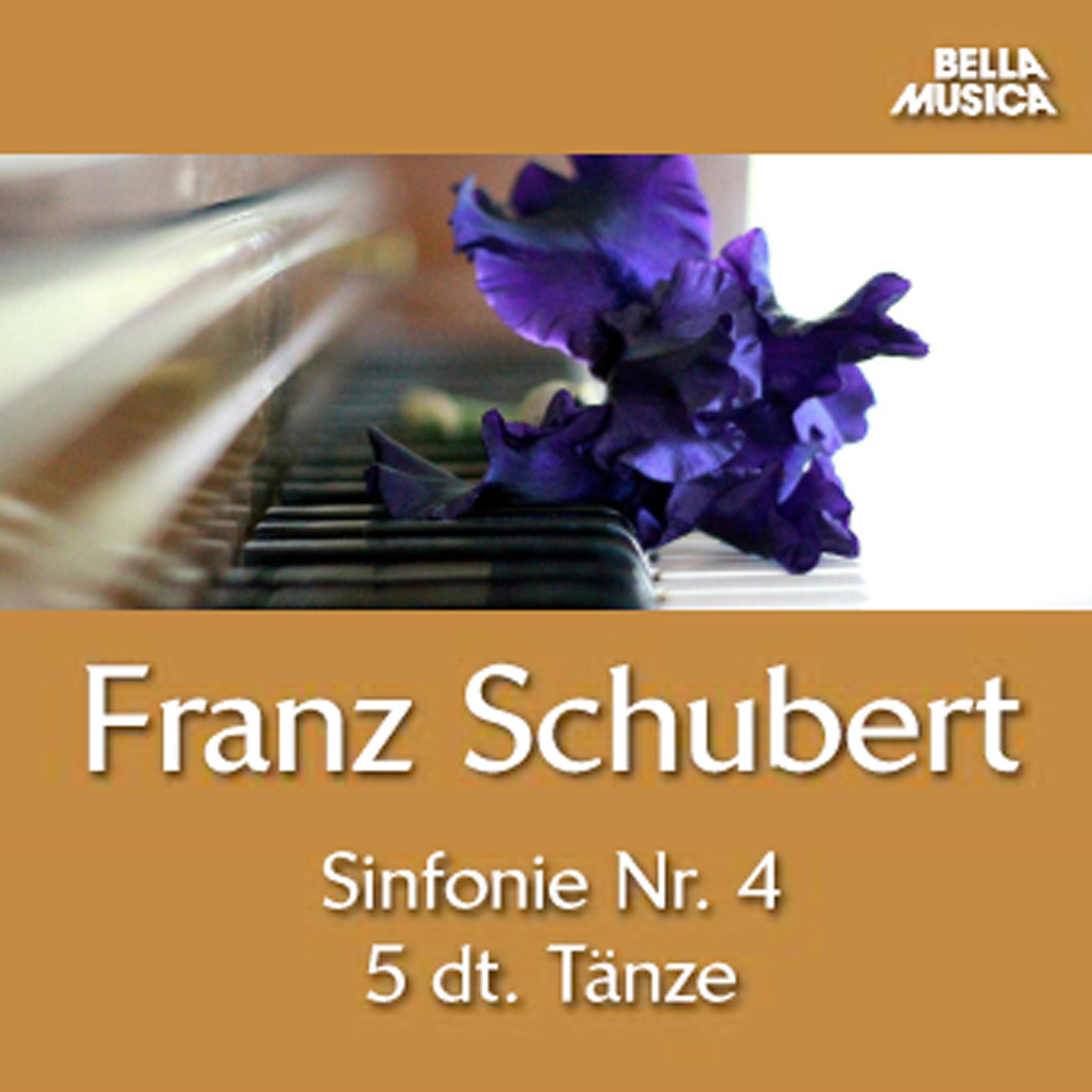 Fü nf deutsche T nze mit 7 Trios und Coda fü r Kammerorchester, D. 90: Dritter Tanz, Trio