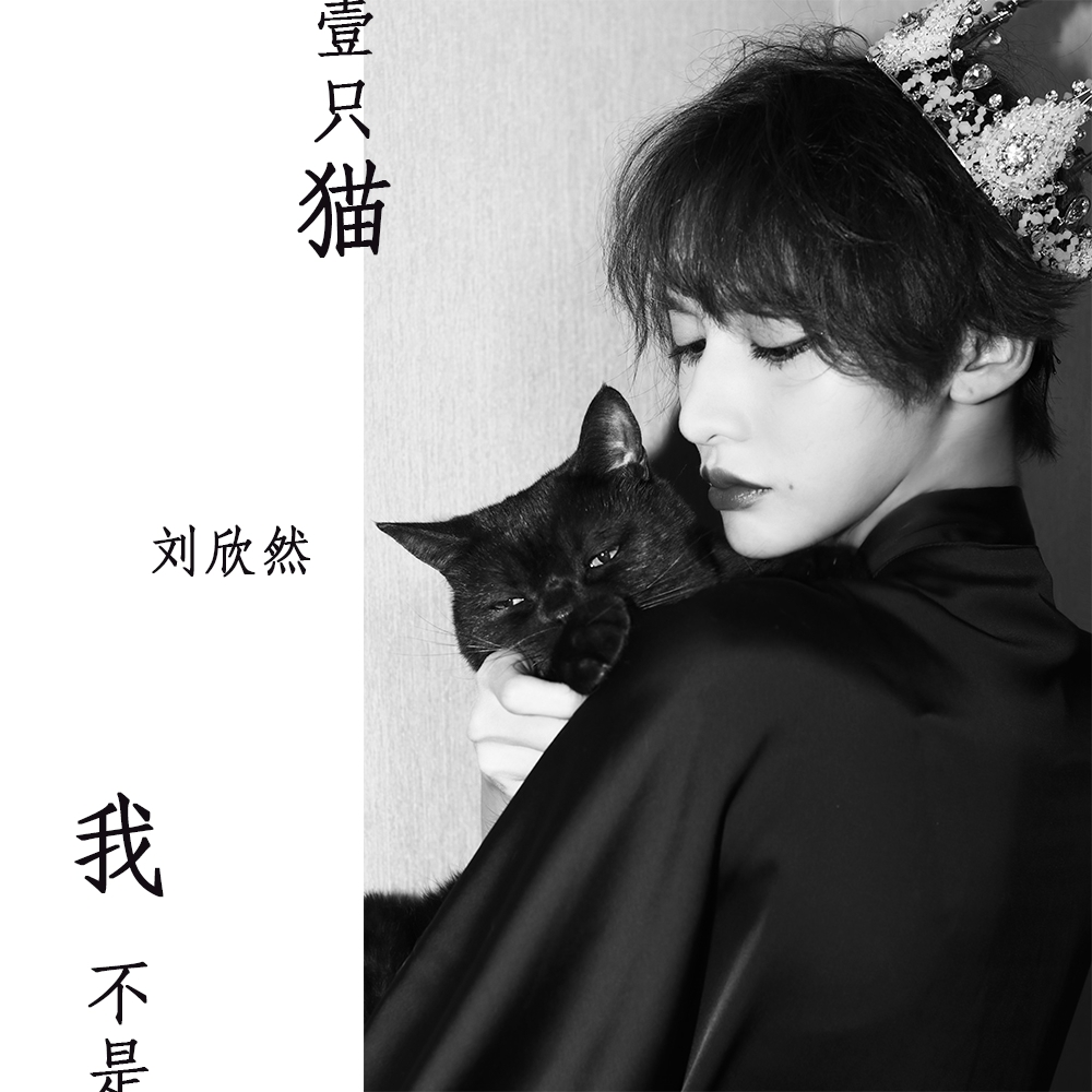 wo bu shi yi zhi mao