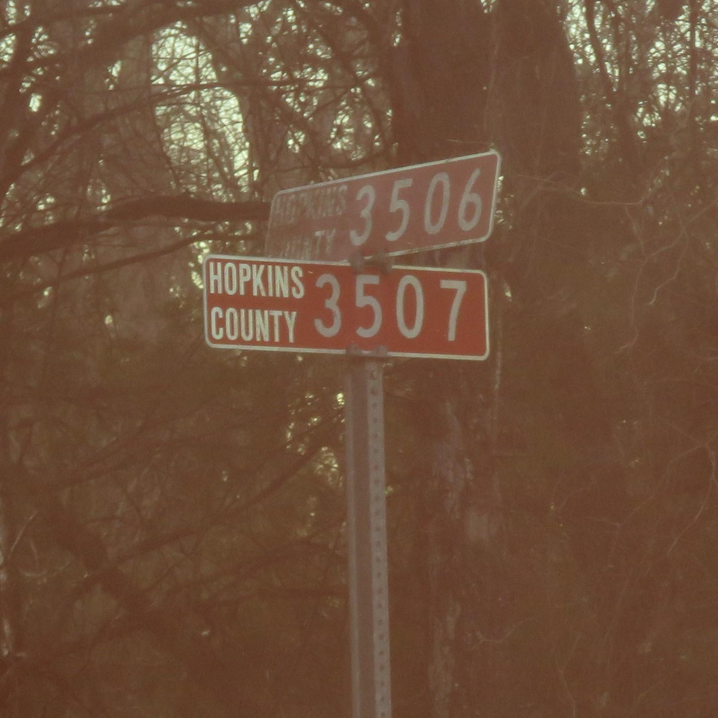 Elevator: The List of Beauty