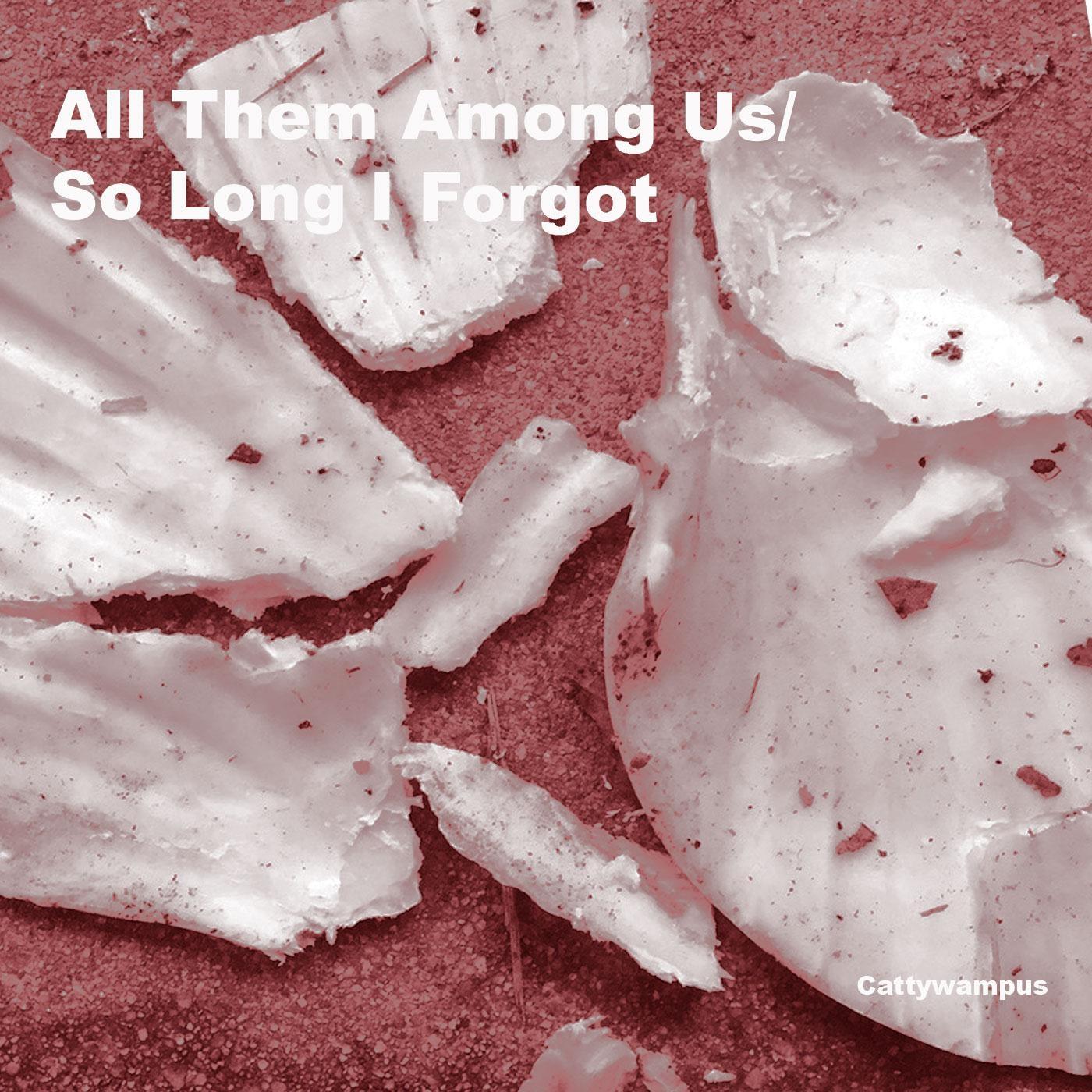 Say What You Mean to Say